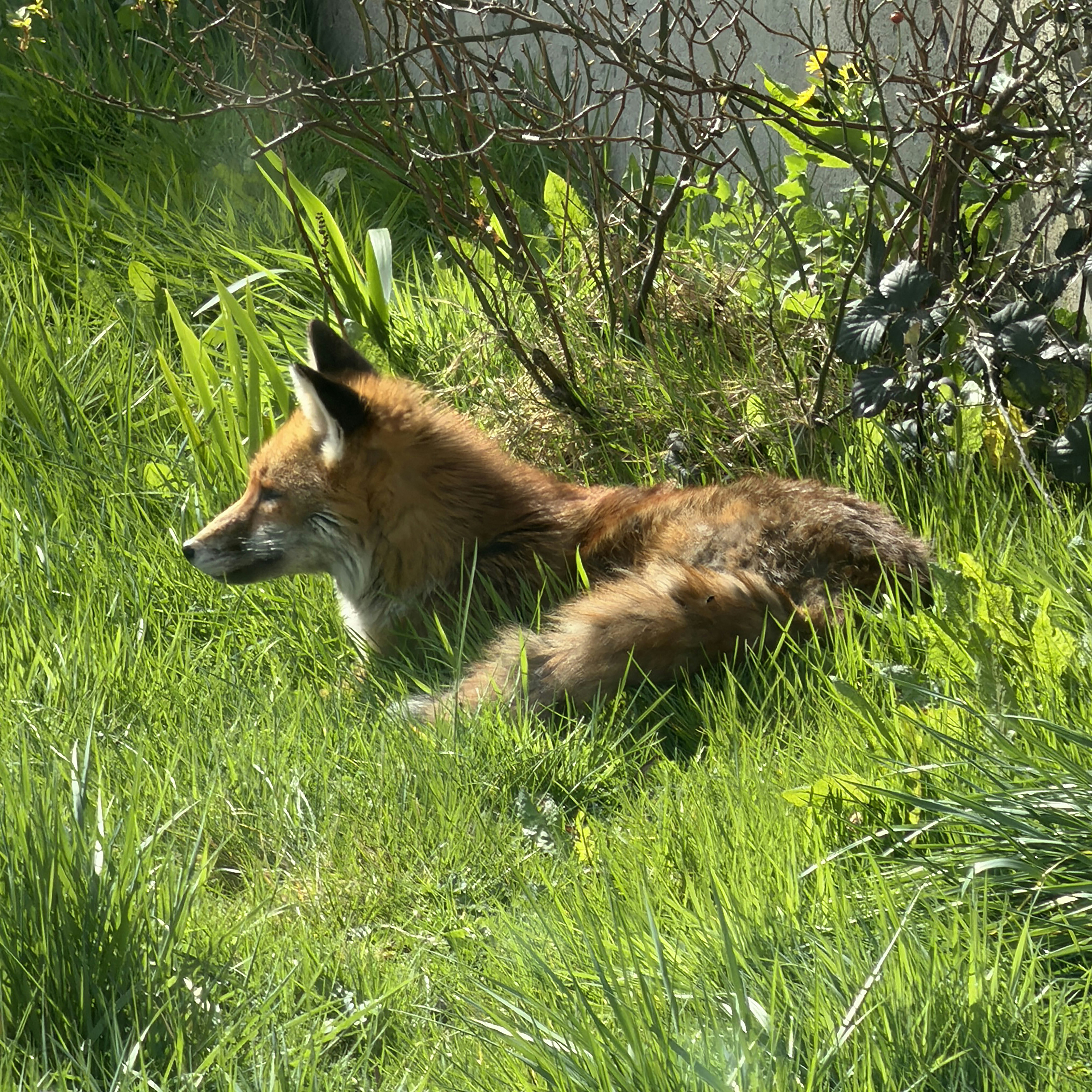 Photo by brett_jordan