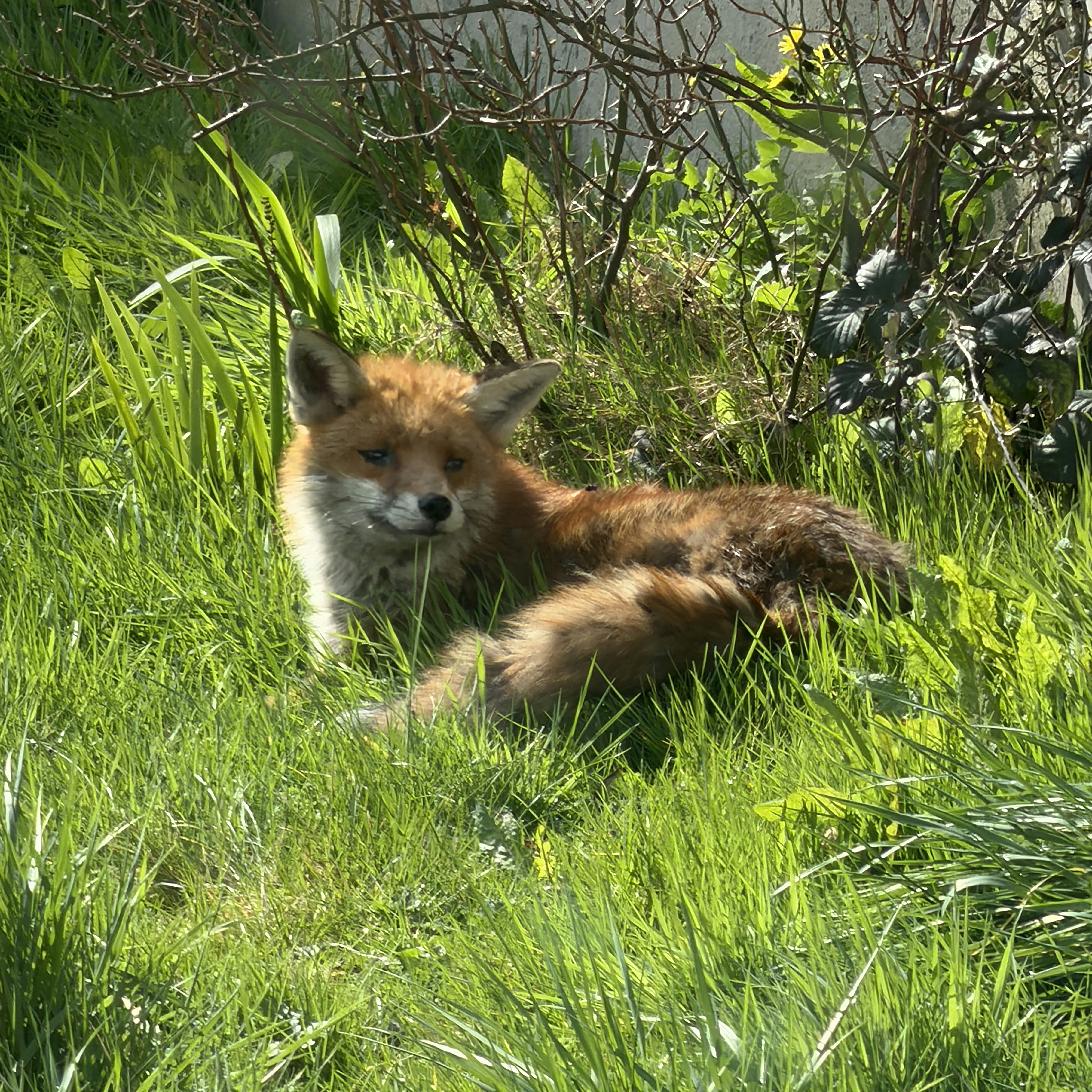 Photo by brett_jordan