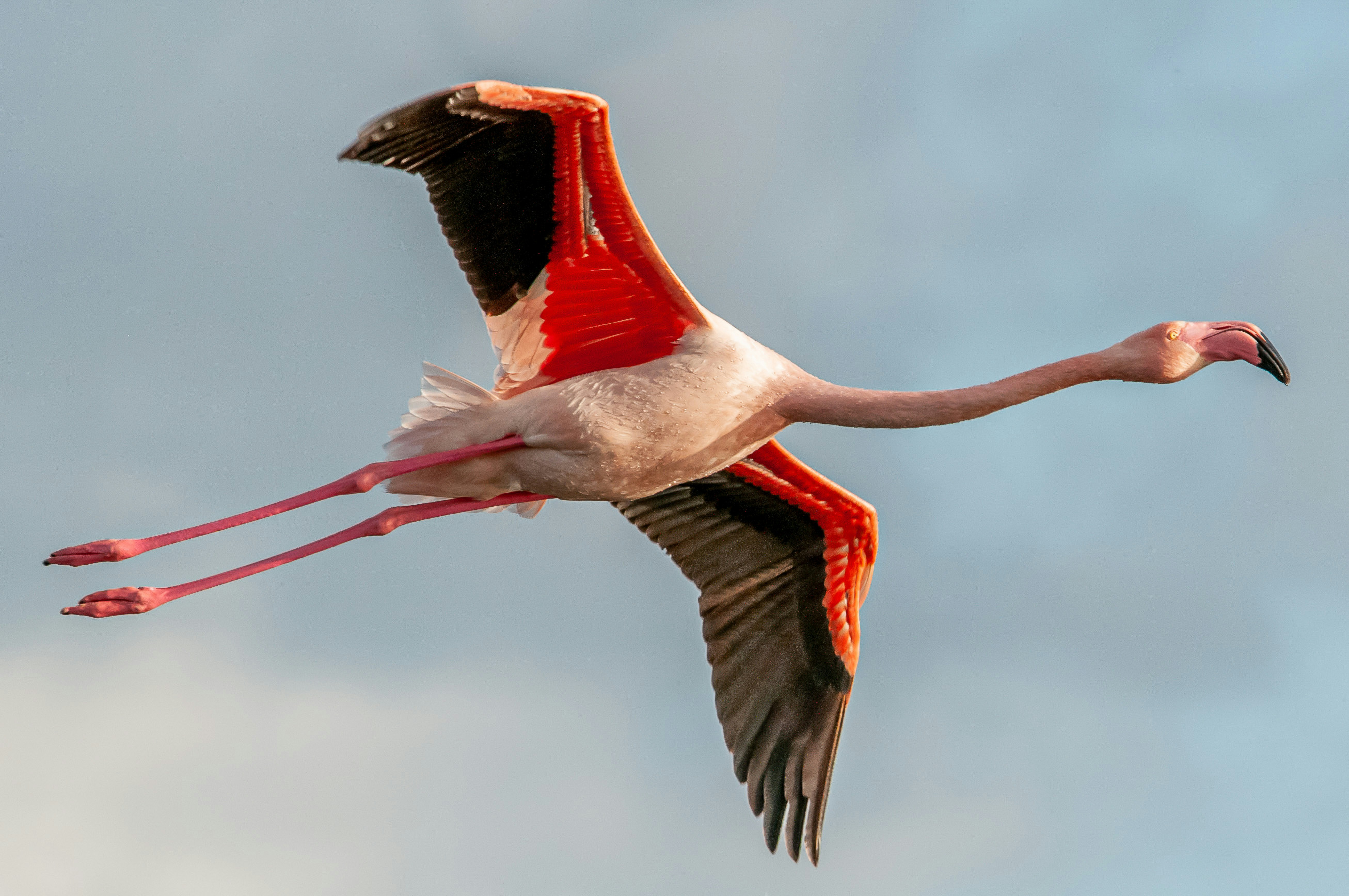 Photo by marc_julien_photography