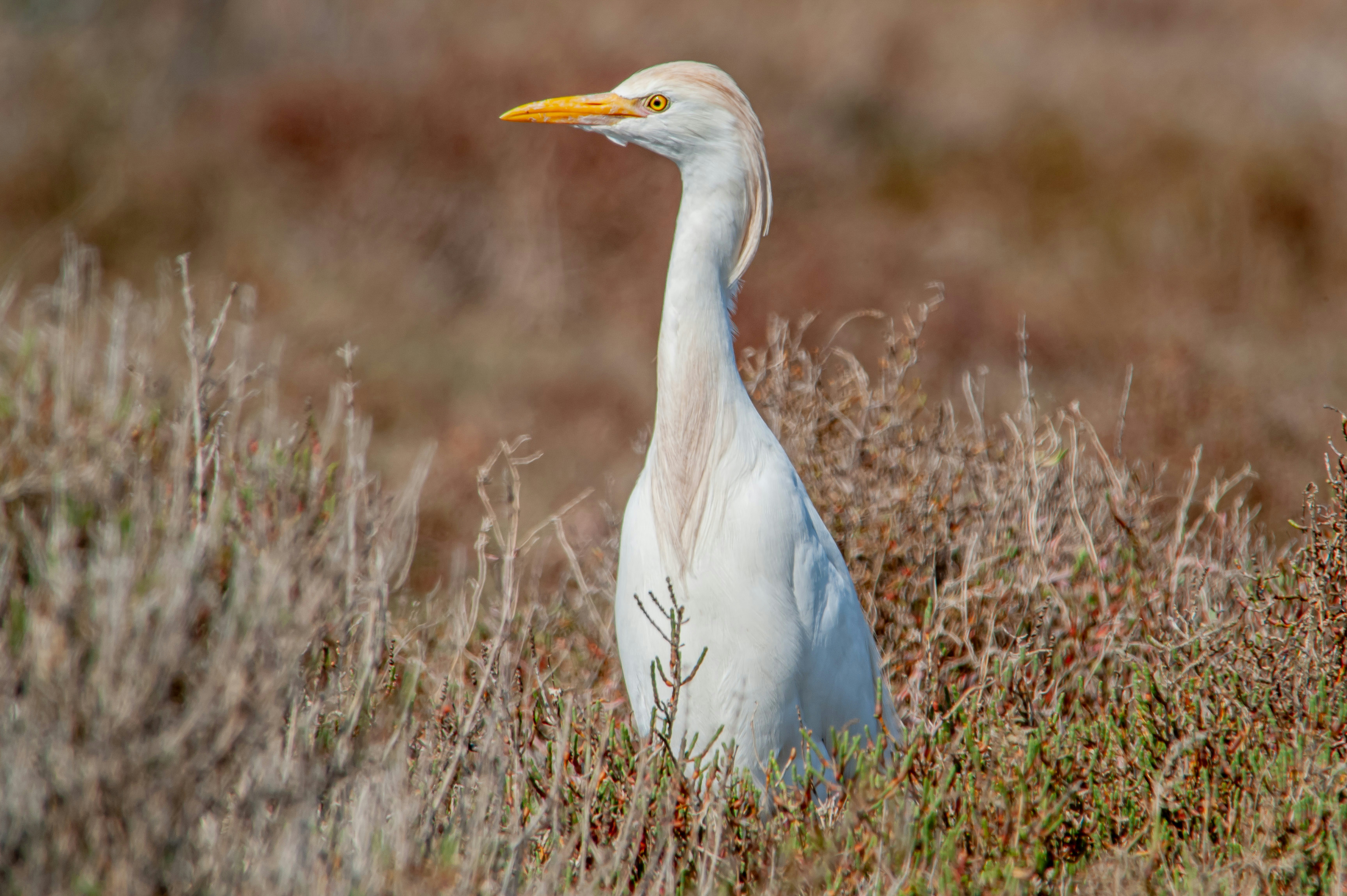 Photo by marc_julien_photography