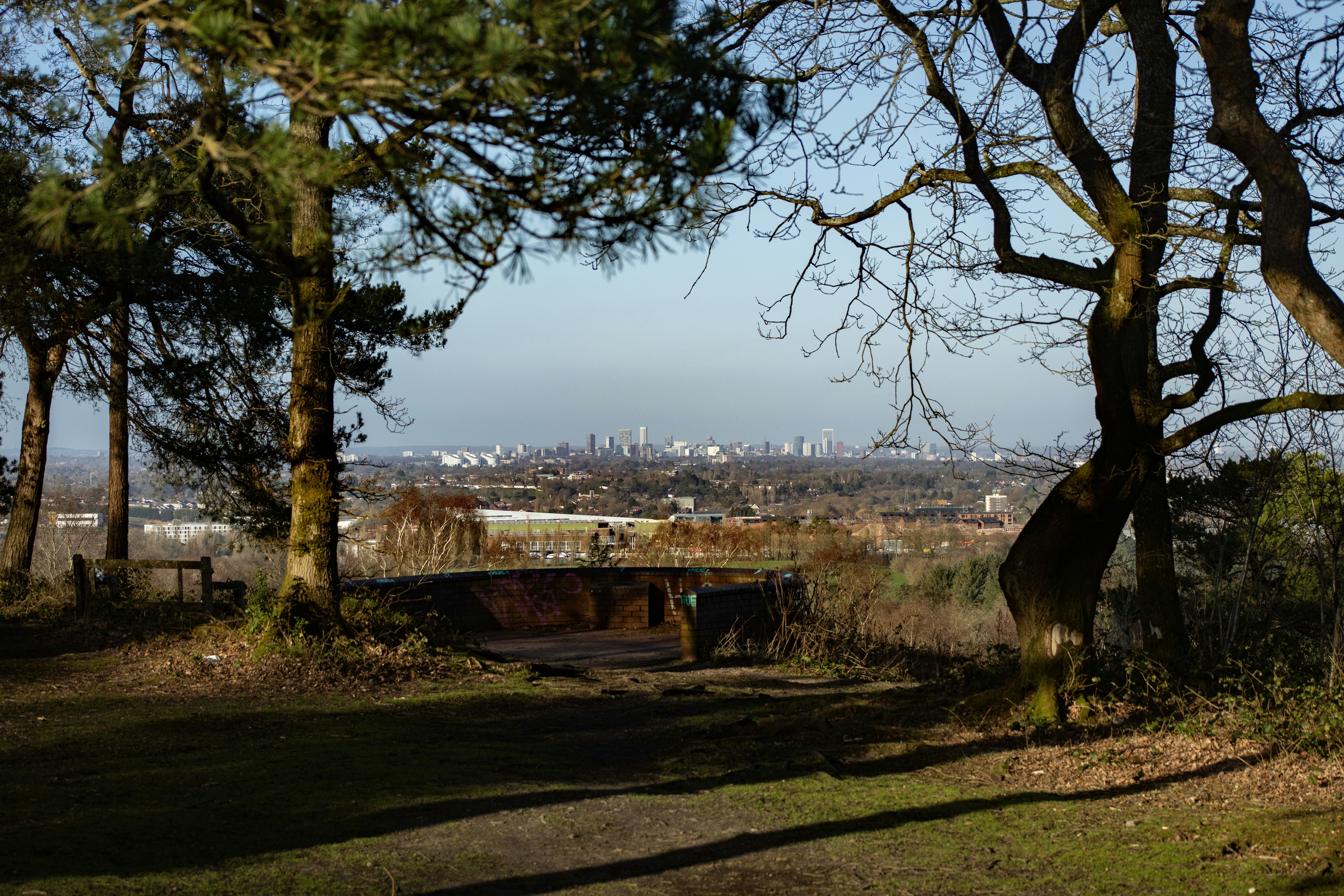 Lo skyline della città visto tra gli alberi in una giornata di sole.