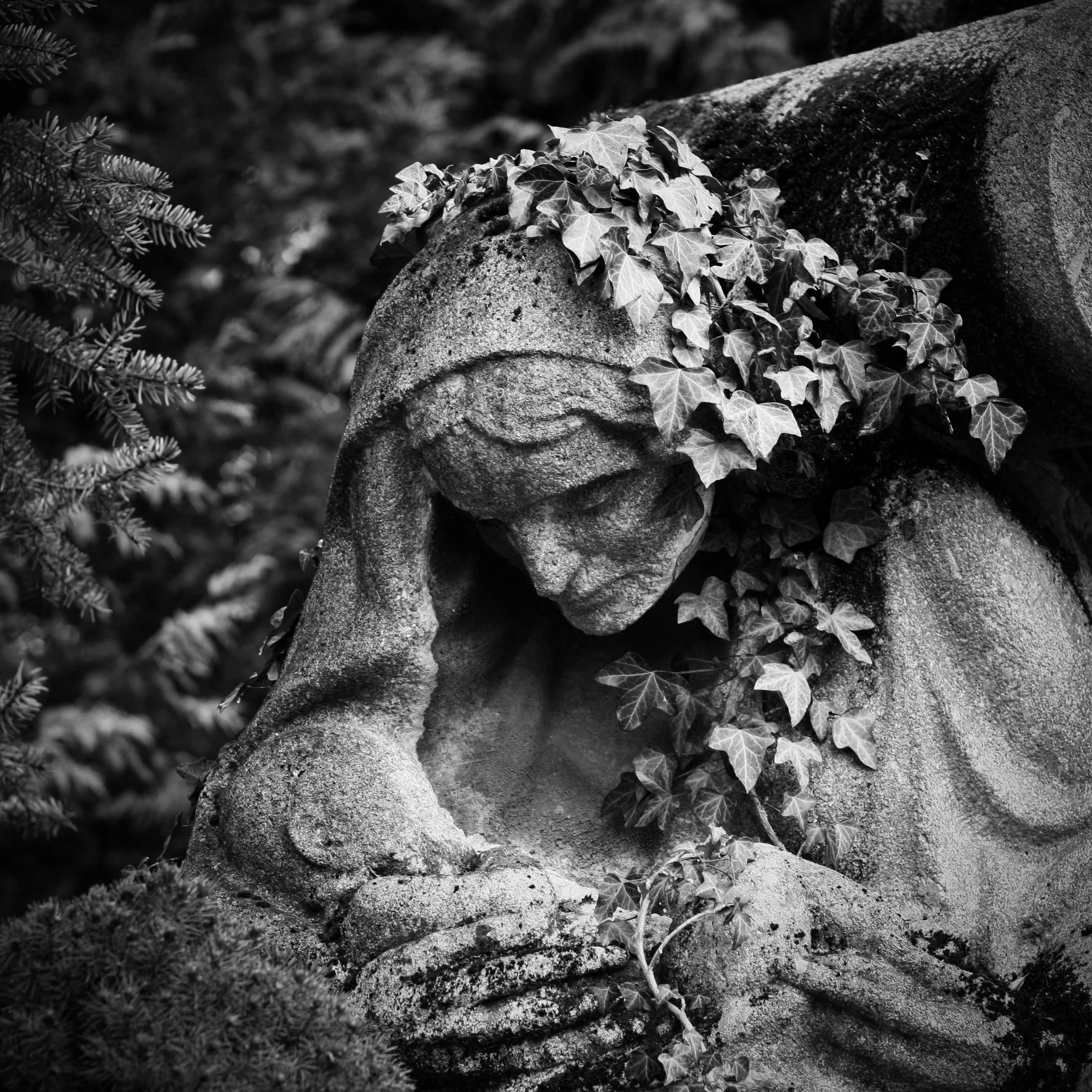Estatua de piedra de una mujer afligida cubierta de hiedra.