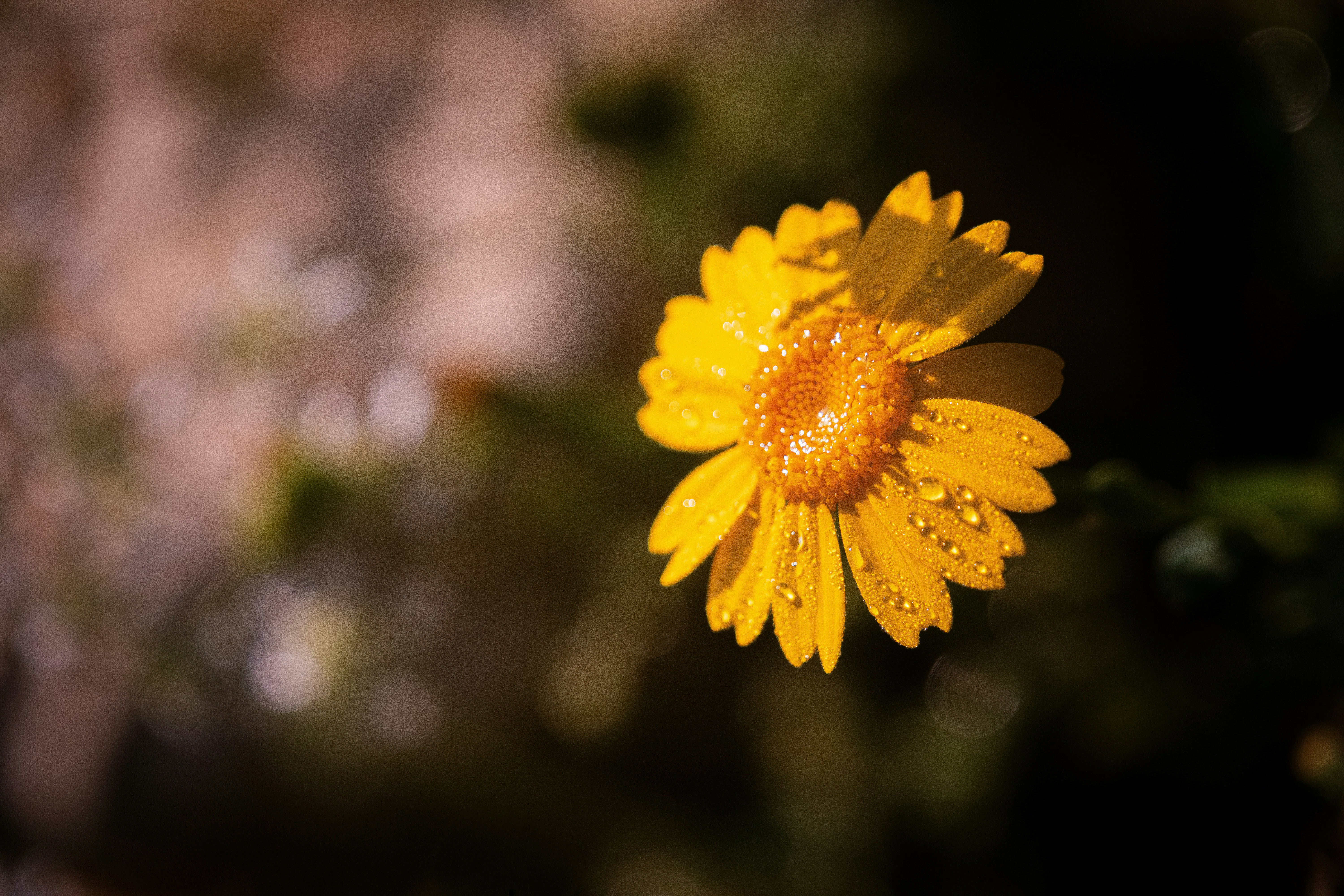 Photo by oldsoulframes