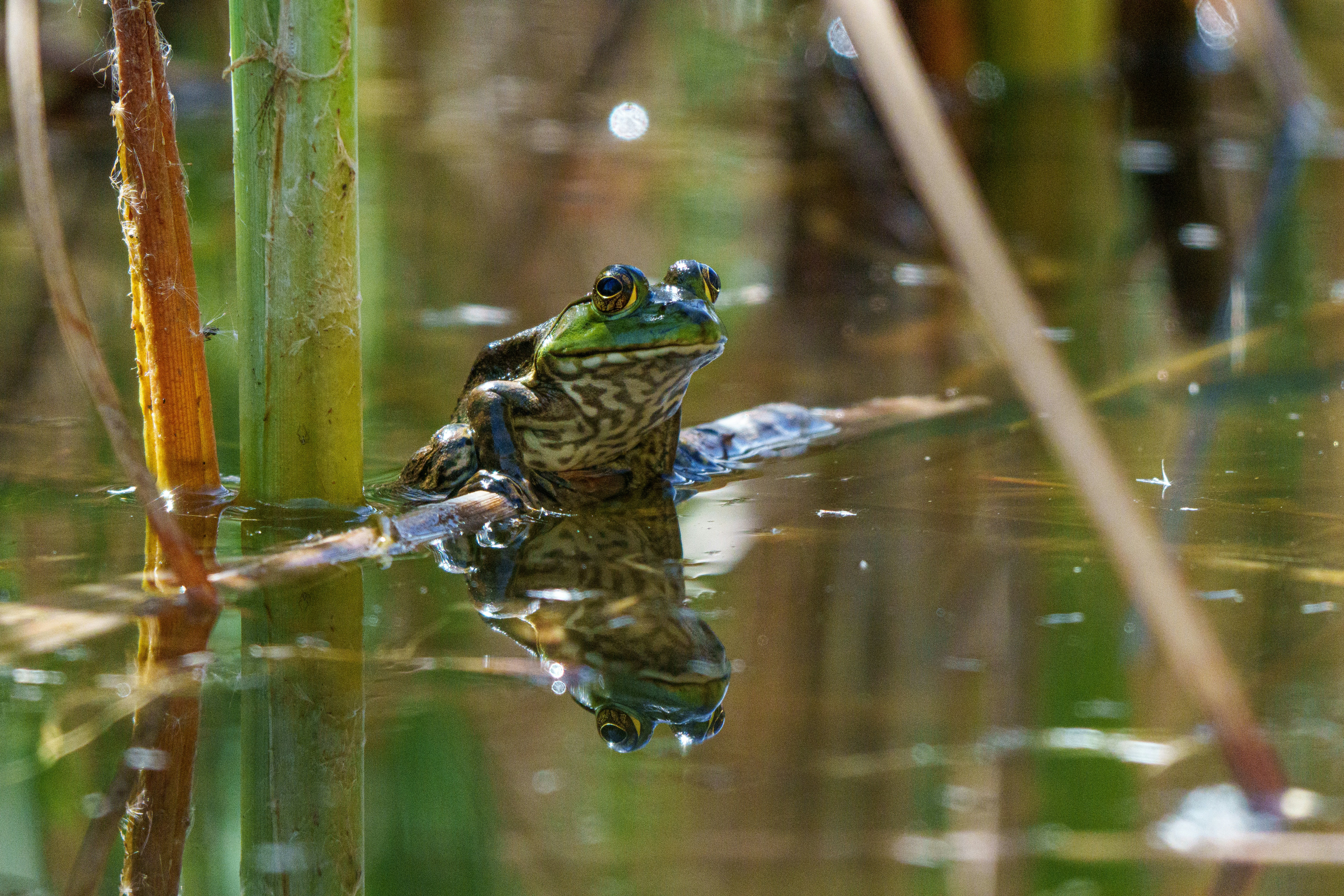 Photo by sizzle_king