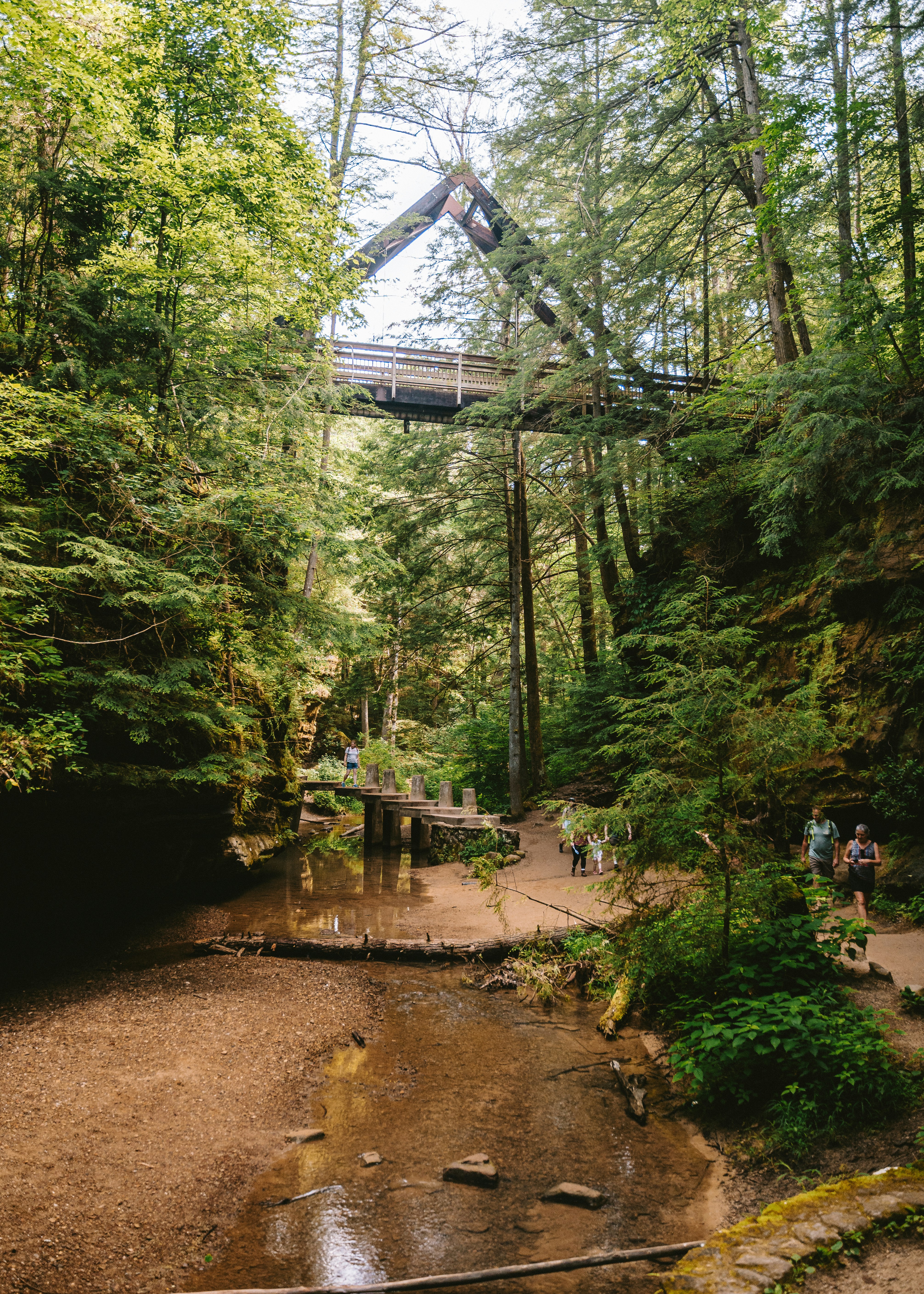 Ponte de madeira sobre o leito de um riacho seco em uma floresta