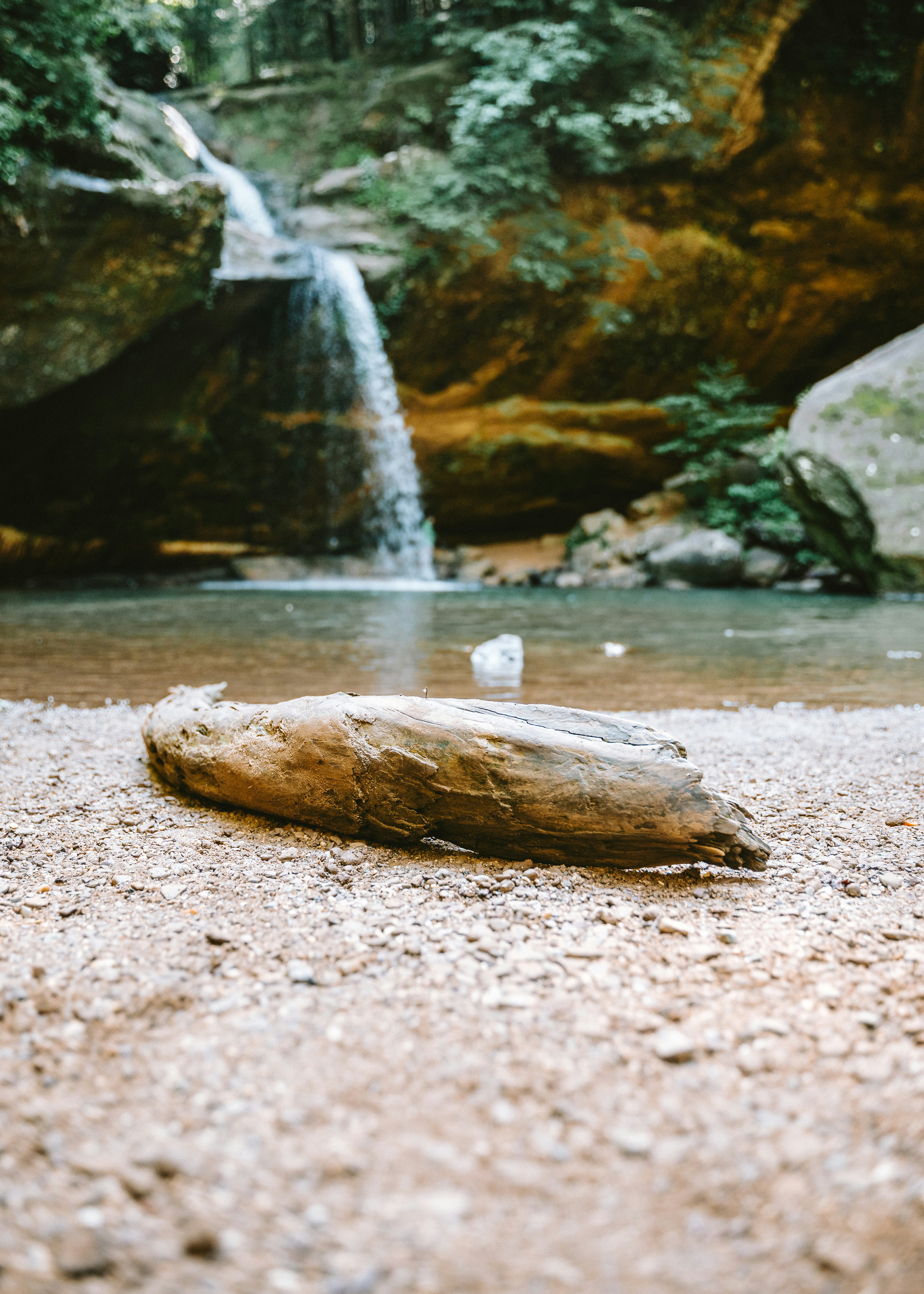 A madeira flutuante repousa em uma costa rochosa com fundo de cachoeira