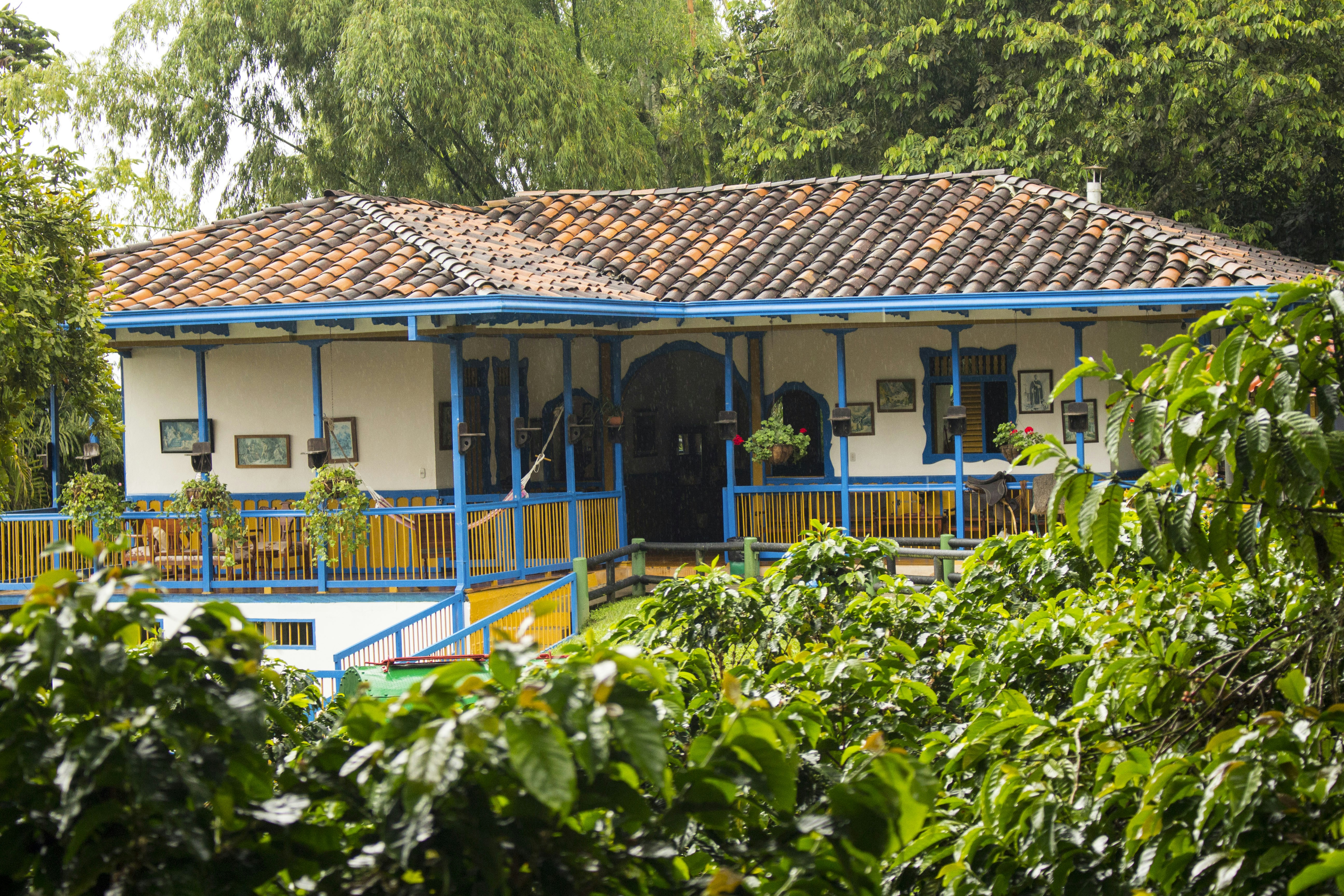 Institución San Fernando Ferriini