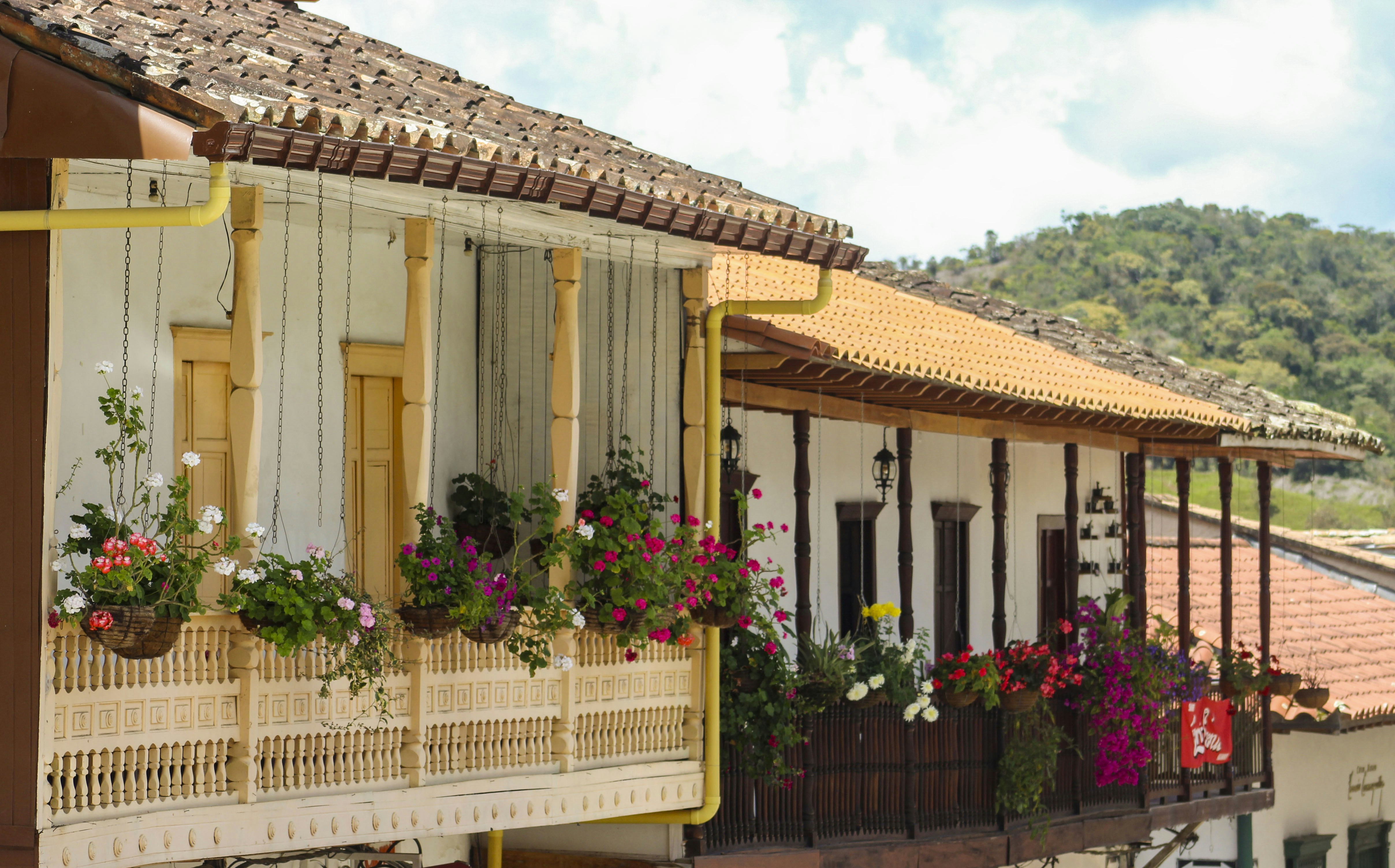 Photo by candesjaramillo