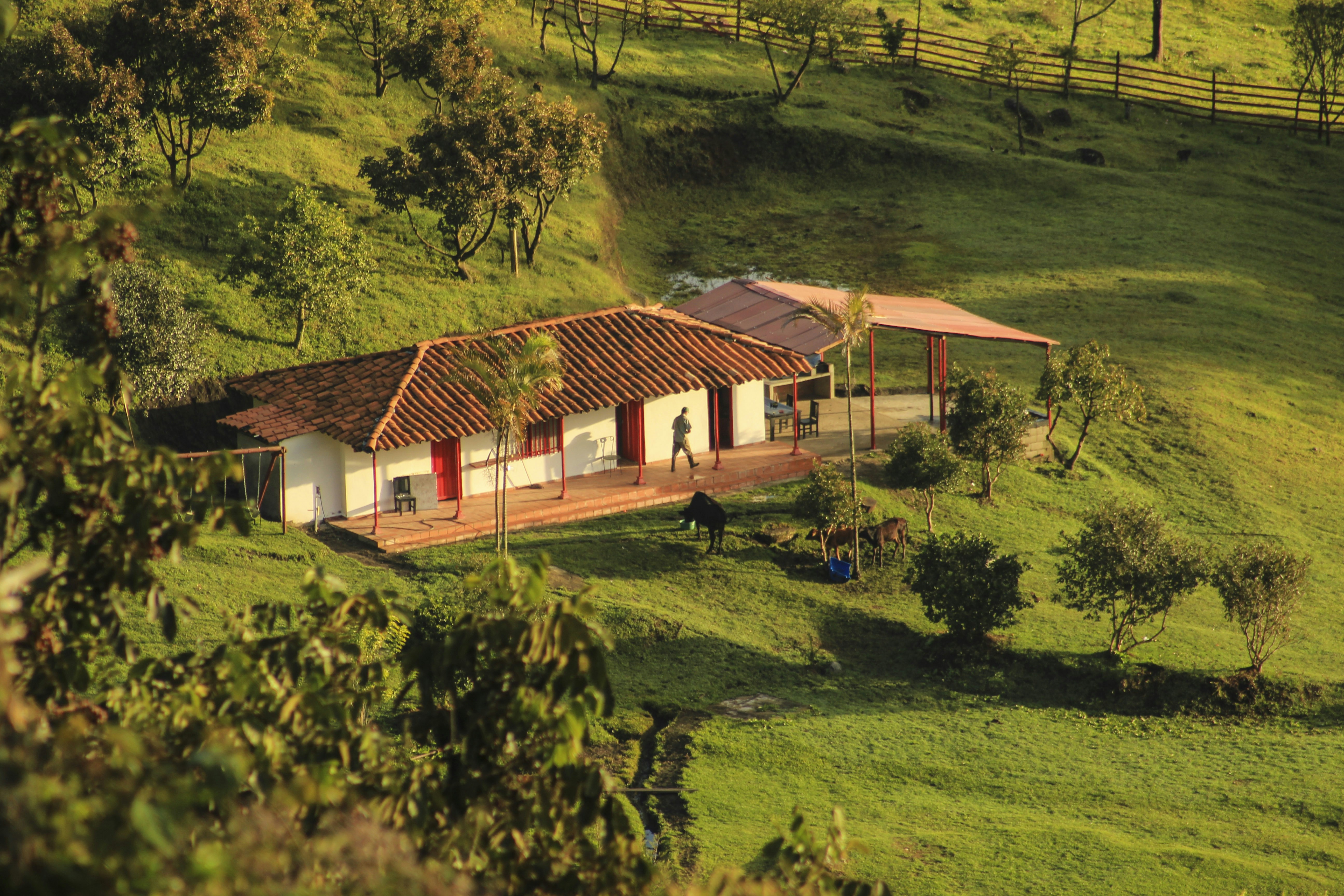Casa colonica incastonata su un rigoglioso pendio verde.