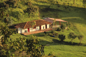 Farmhouse nestled on a lush green hillside.