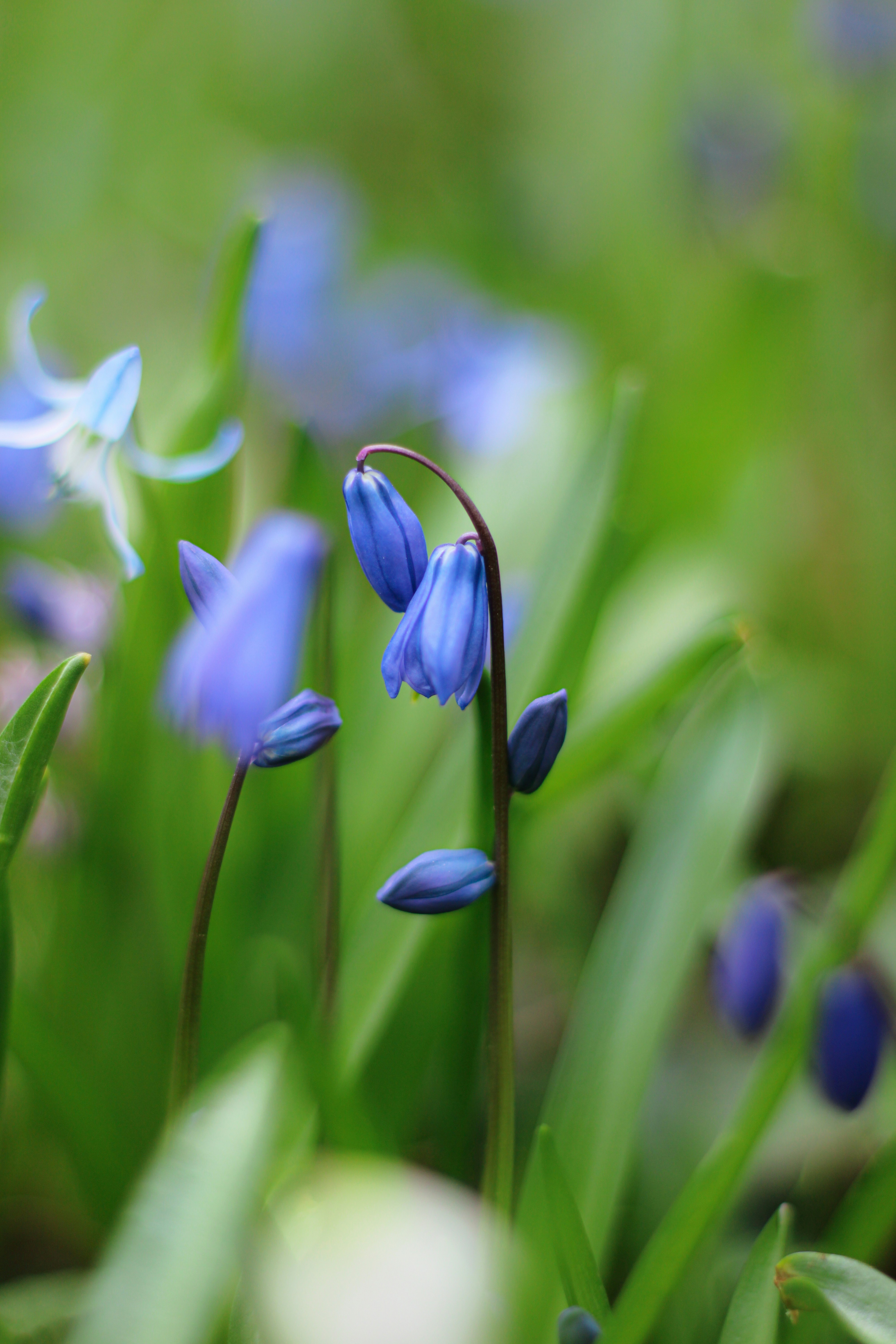 Photo by mohammad_ebesh