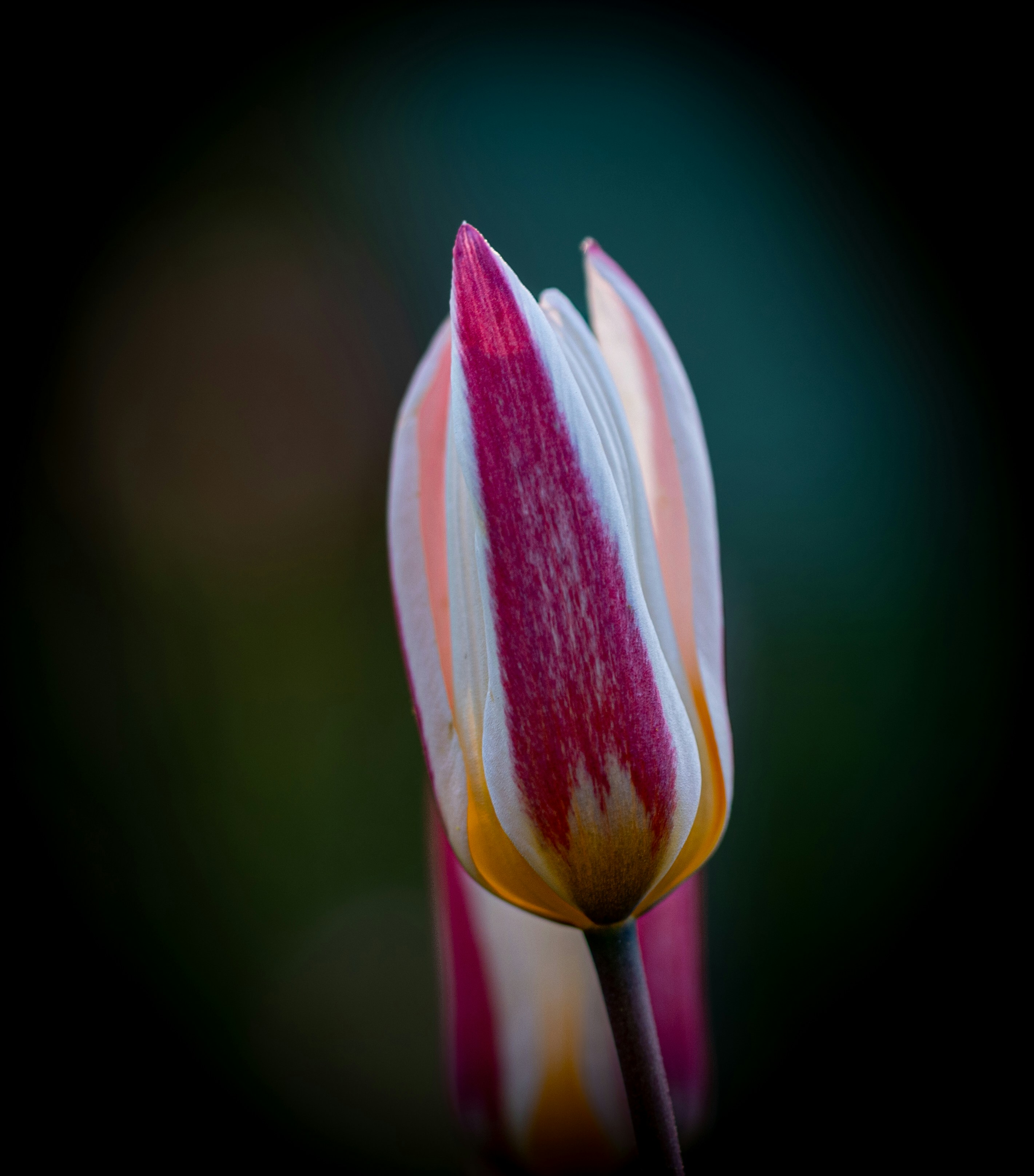 Photo by hdbernd