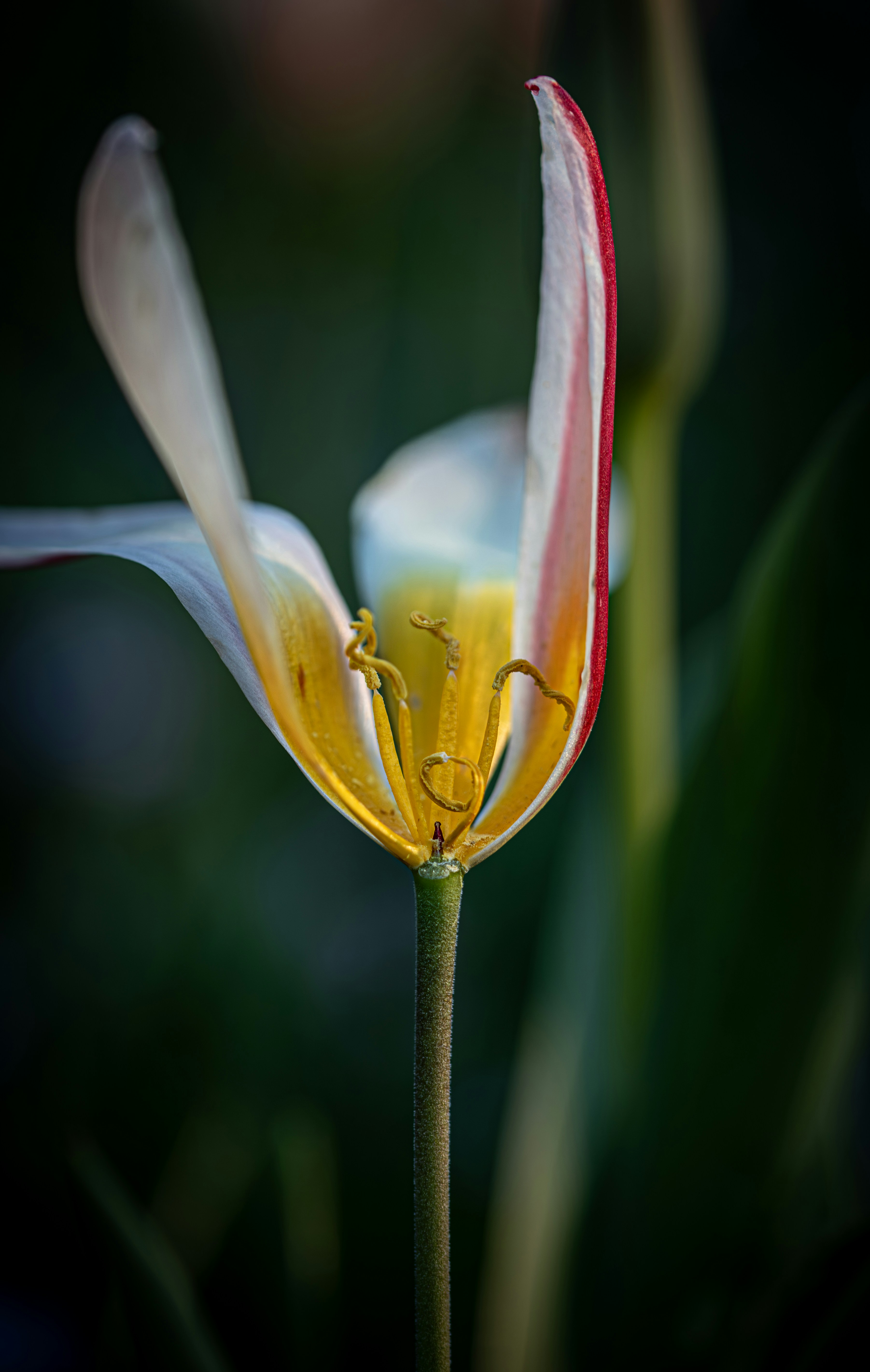 Photo by hdbernd