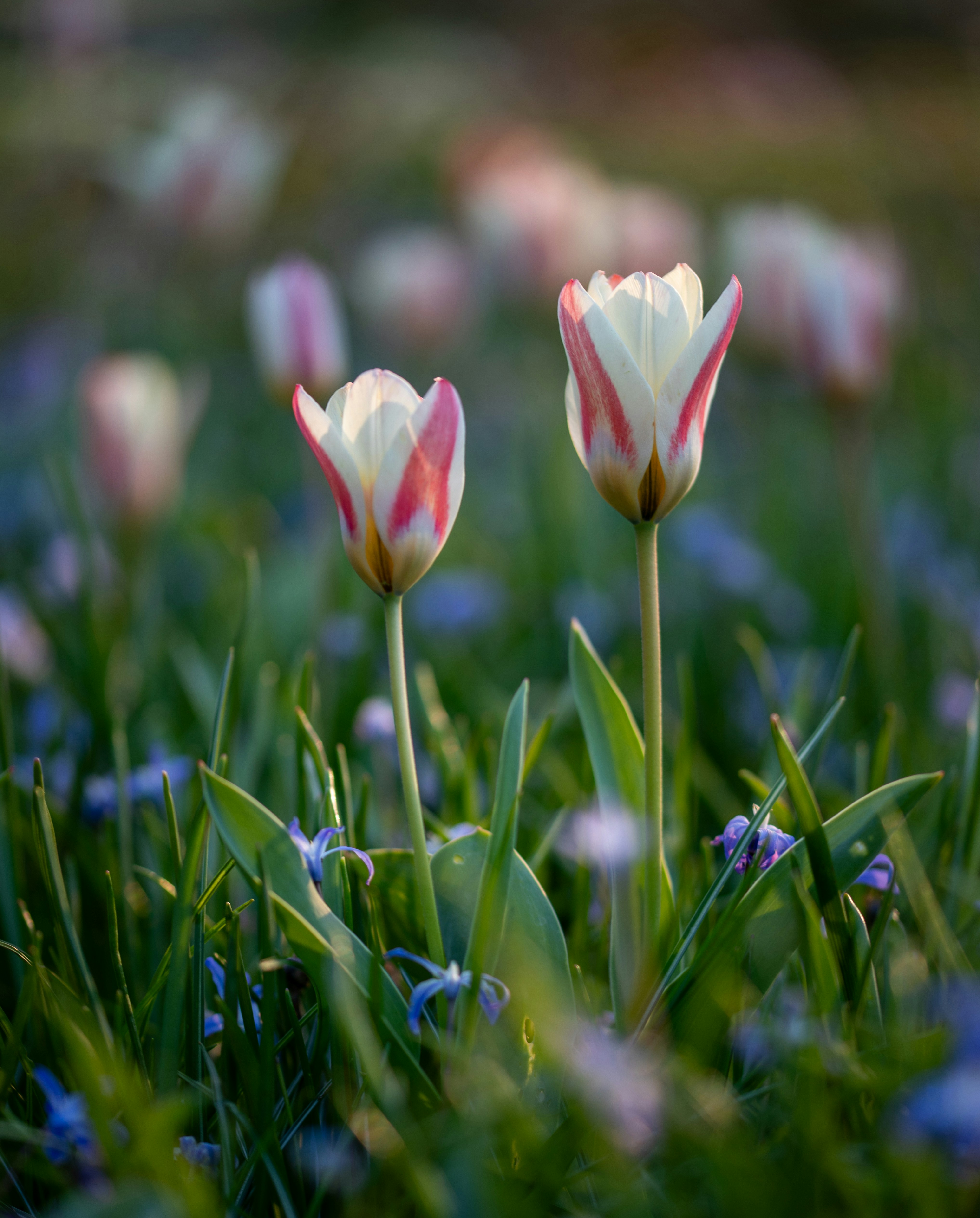 Photo by hdbernd