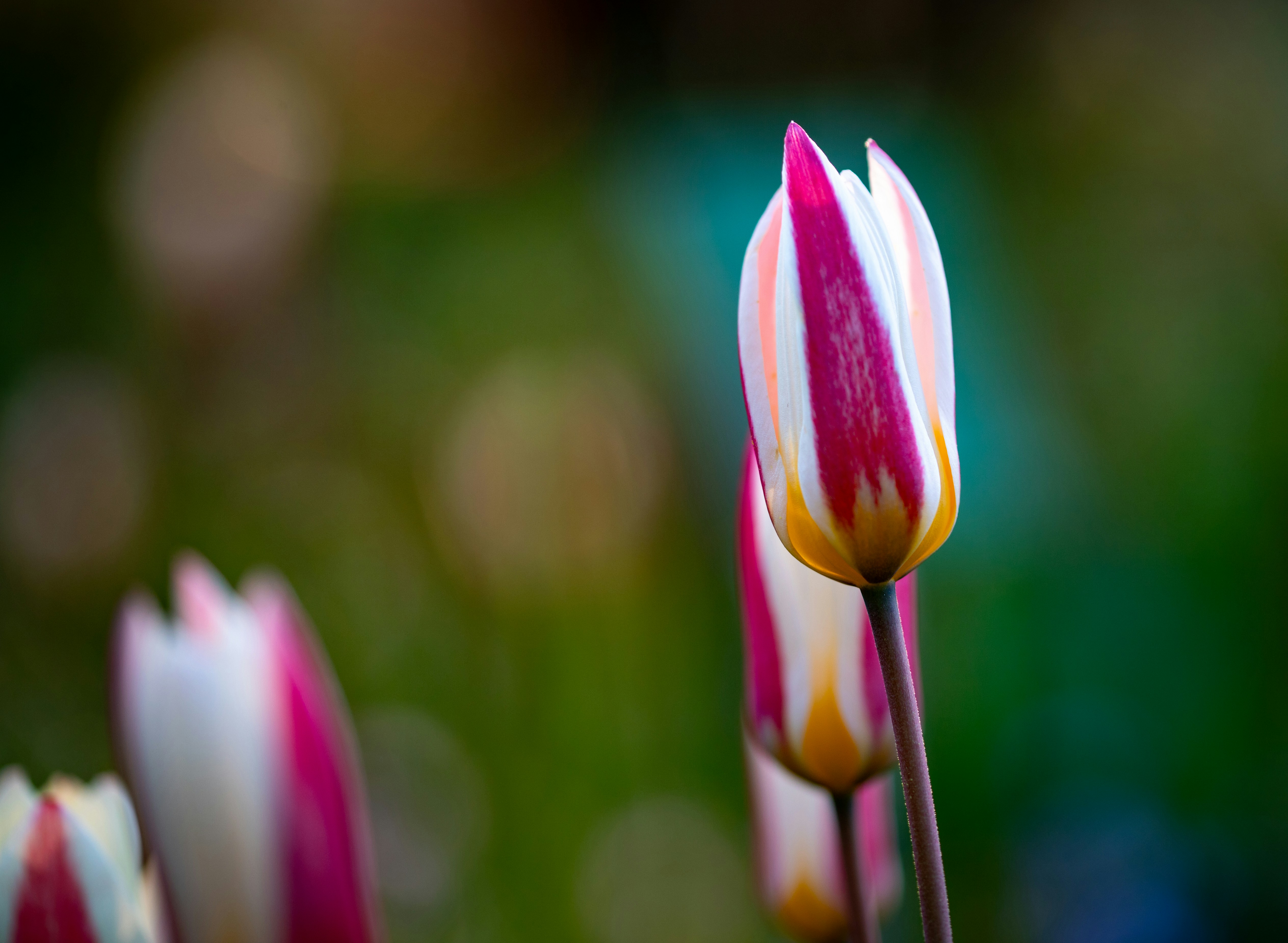 Photo by hdbernd