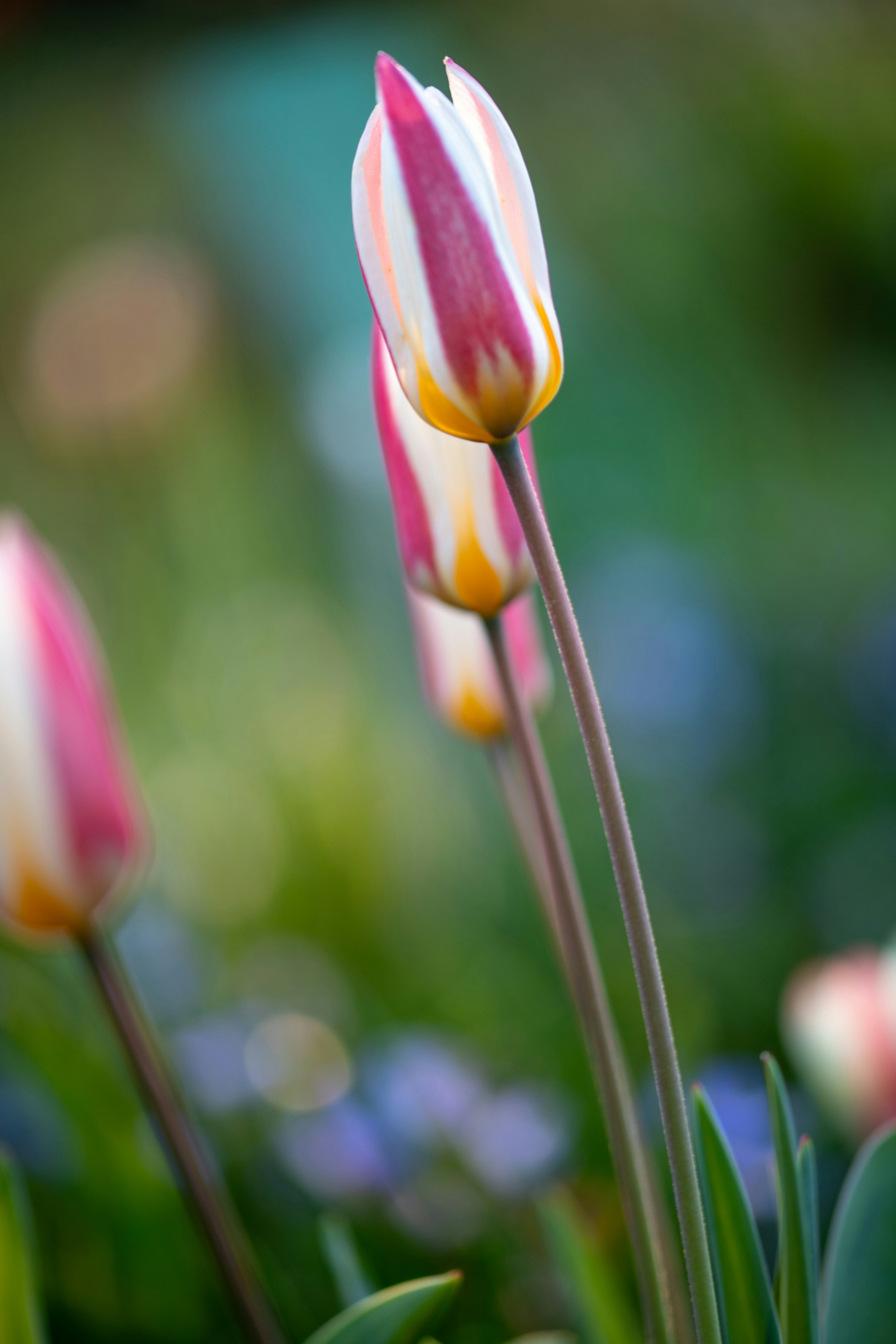 Photo by hdbernd
