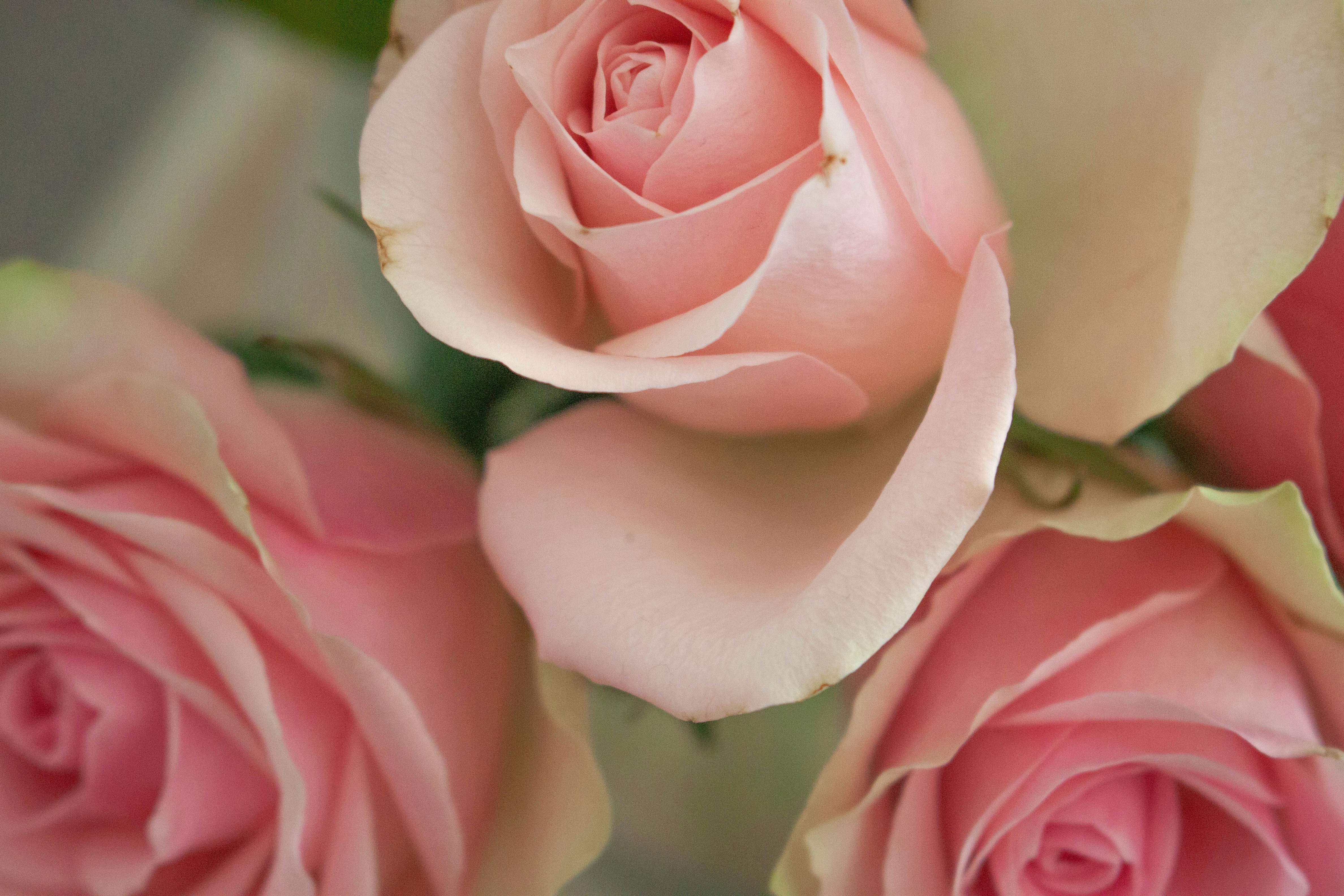 Photo by kamillaisalieva