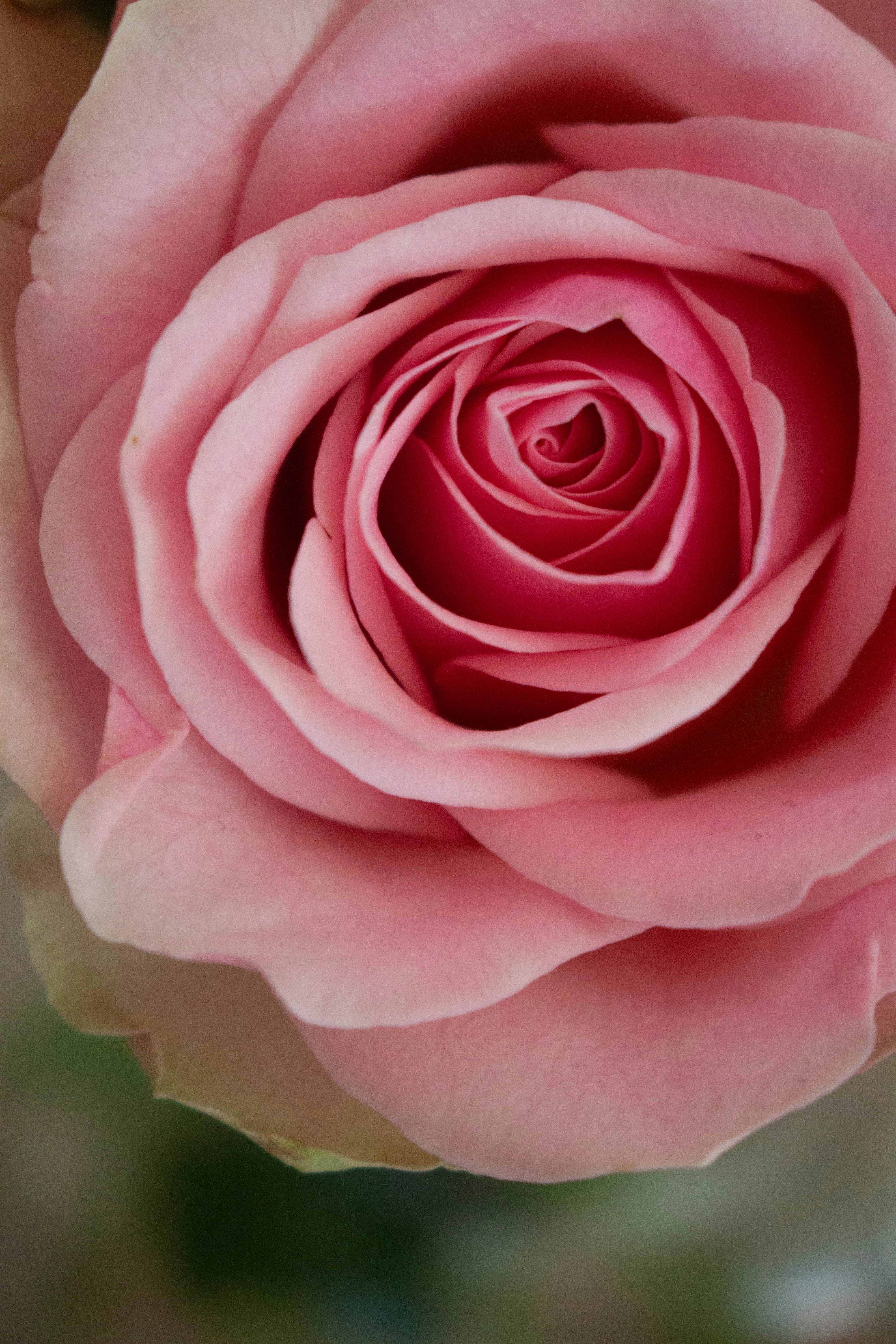 Photo by kamillaisalieva