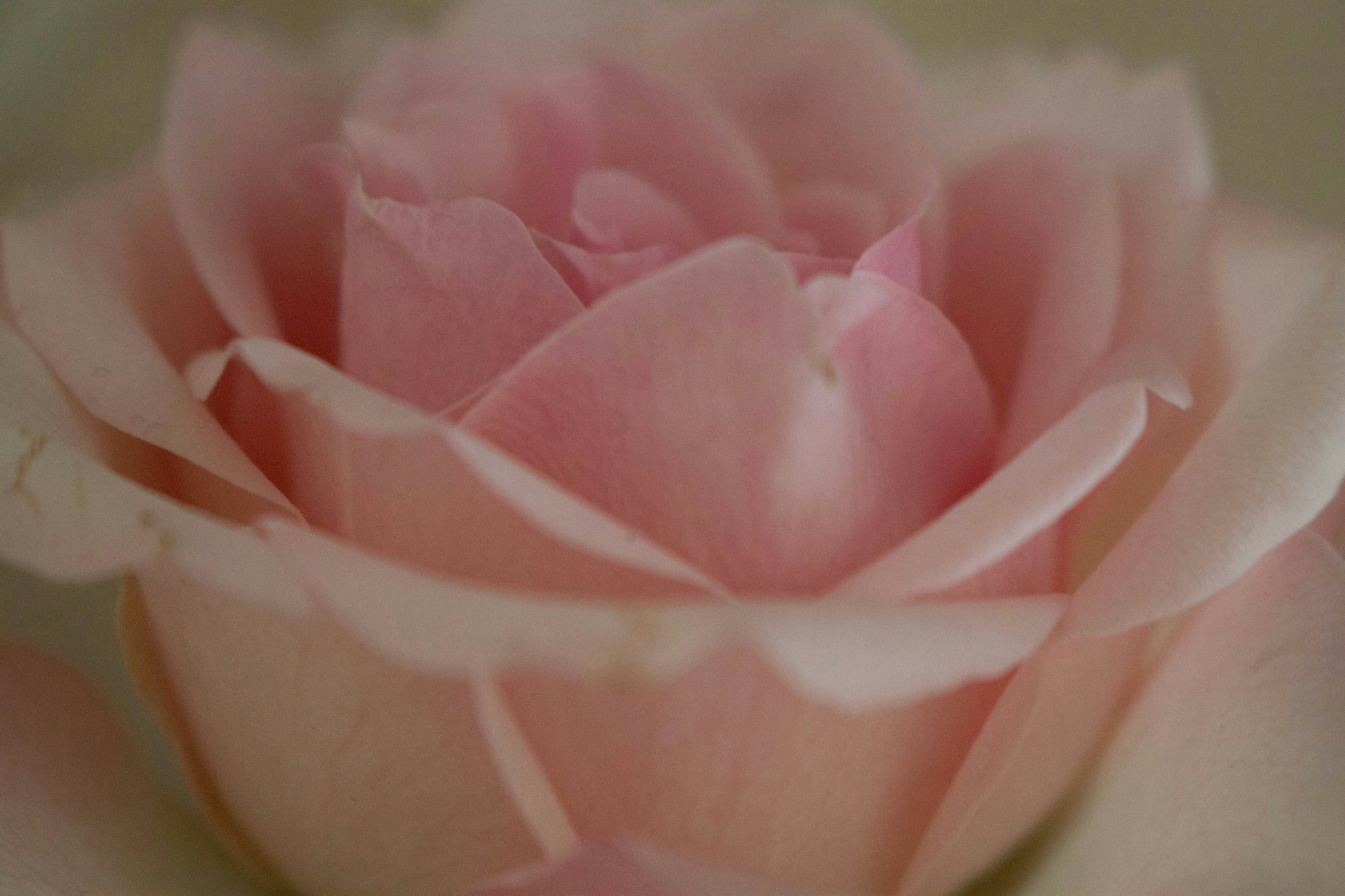 Photo by kamillaisalieva