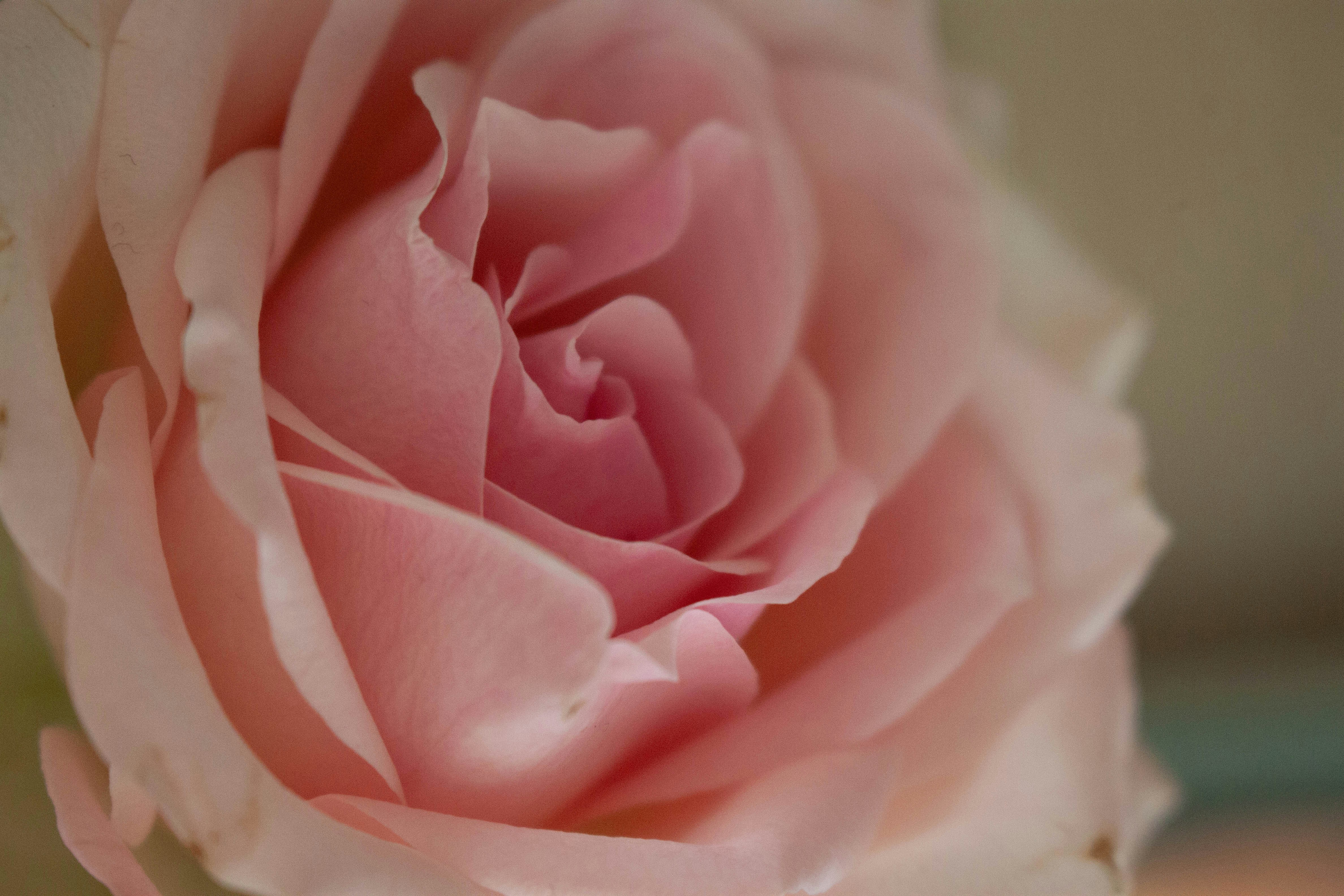 Photo by kamillaisalieva