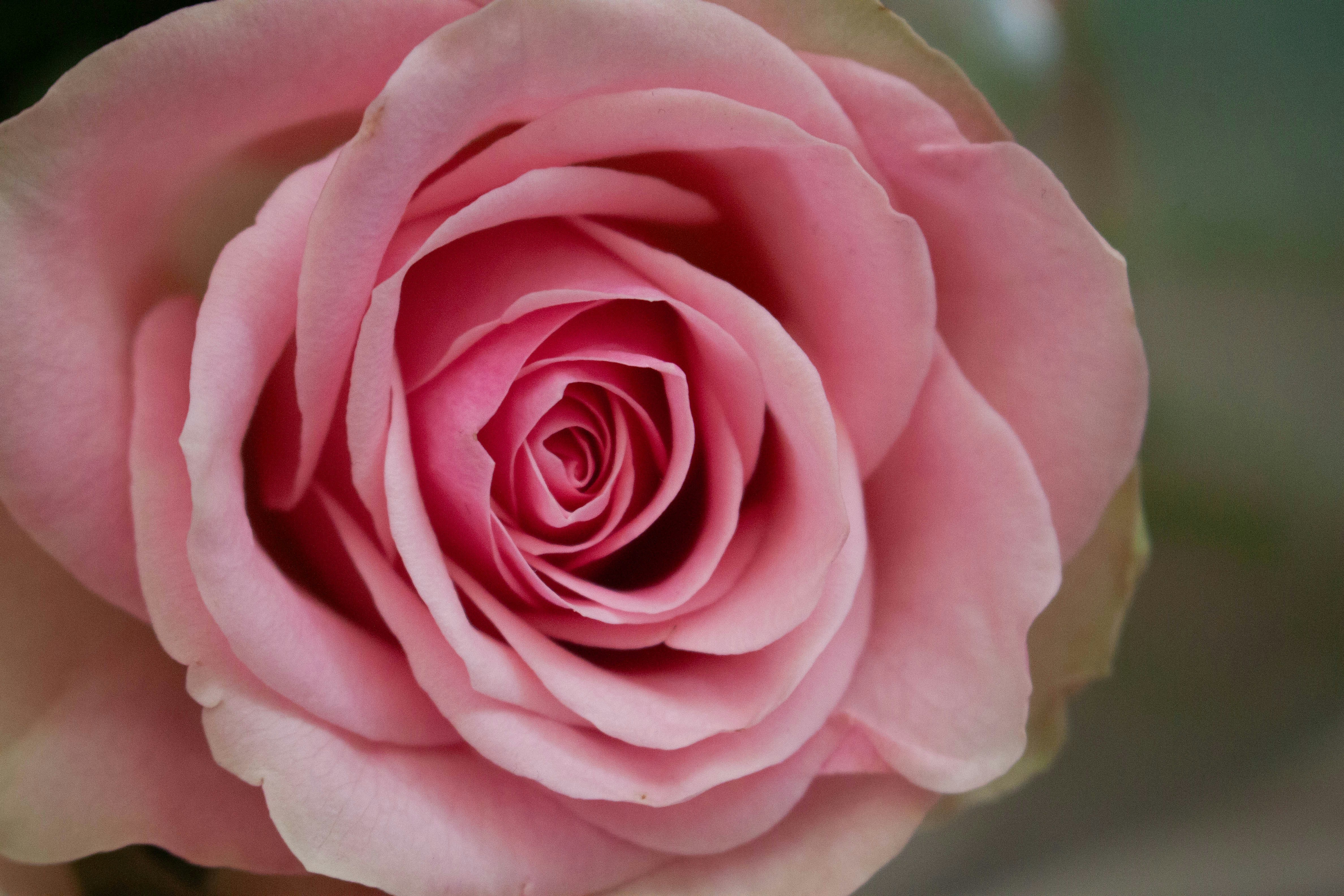 Photo by kamillaisalieva