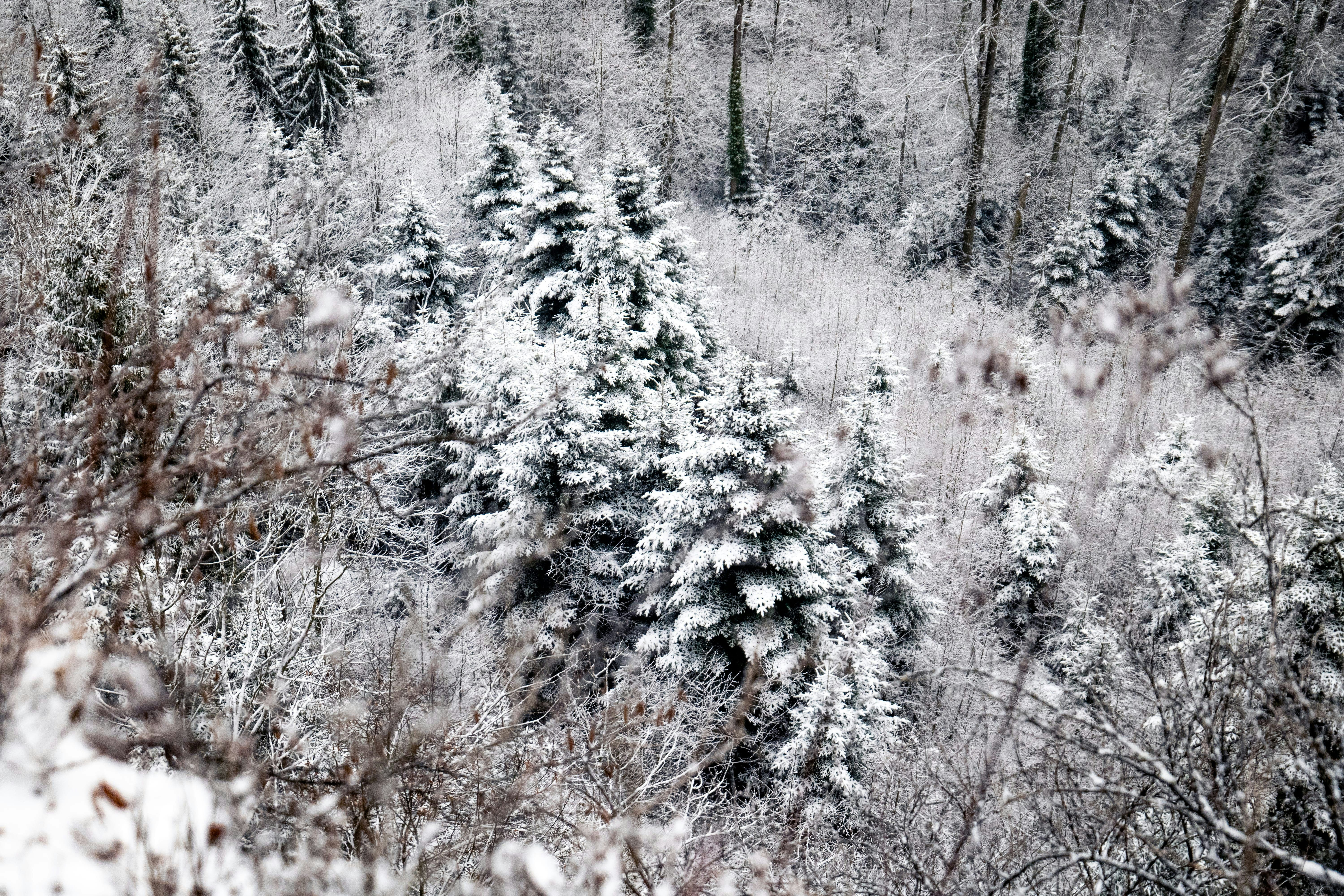 Photo by markusmckay