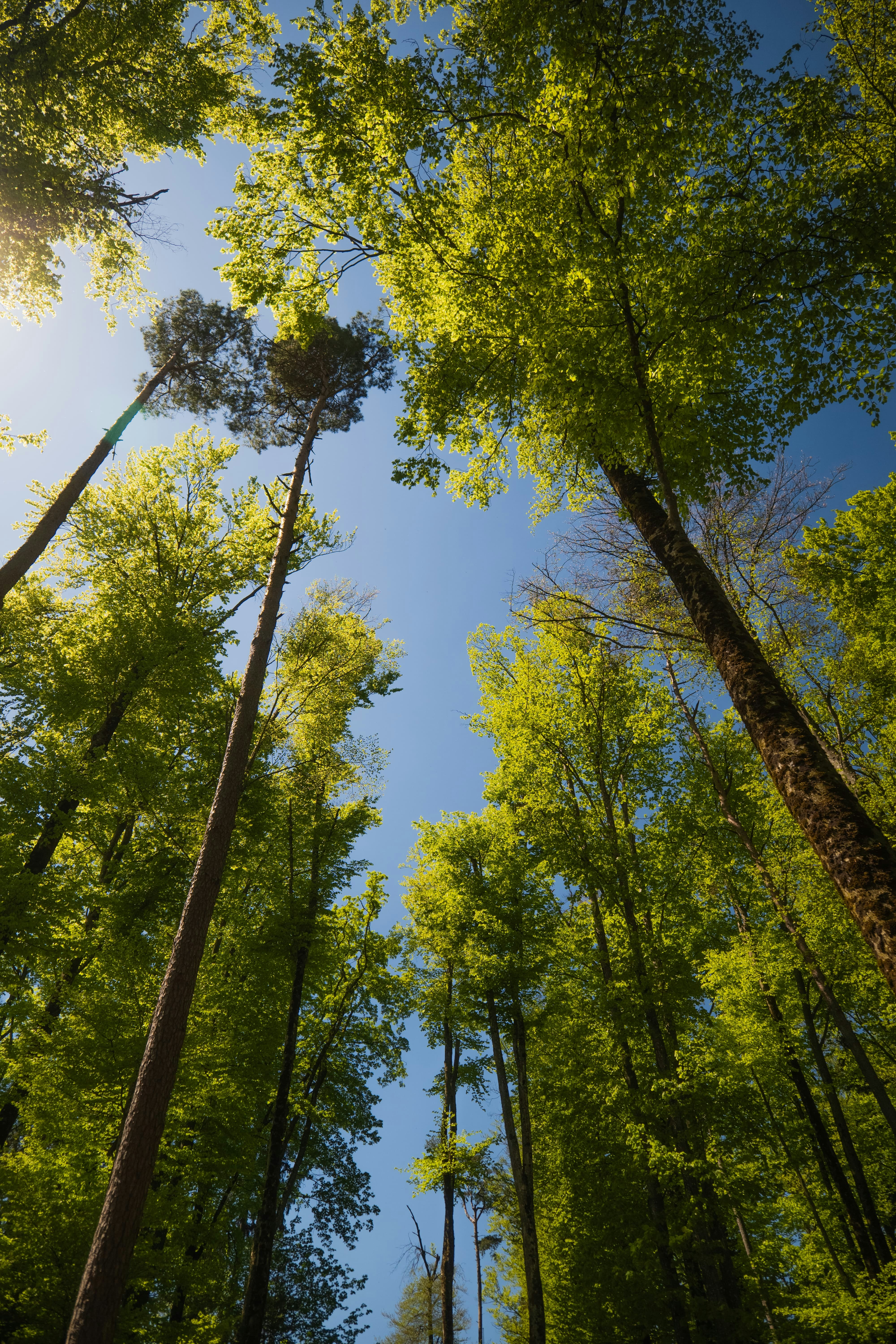 Photo by markusmckay