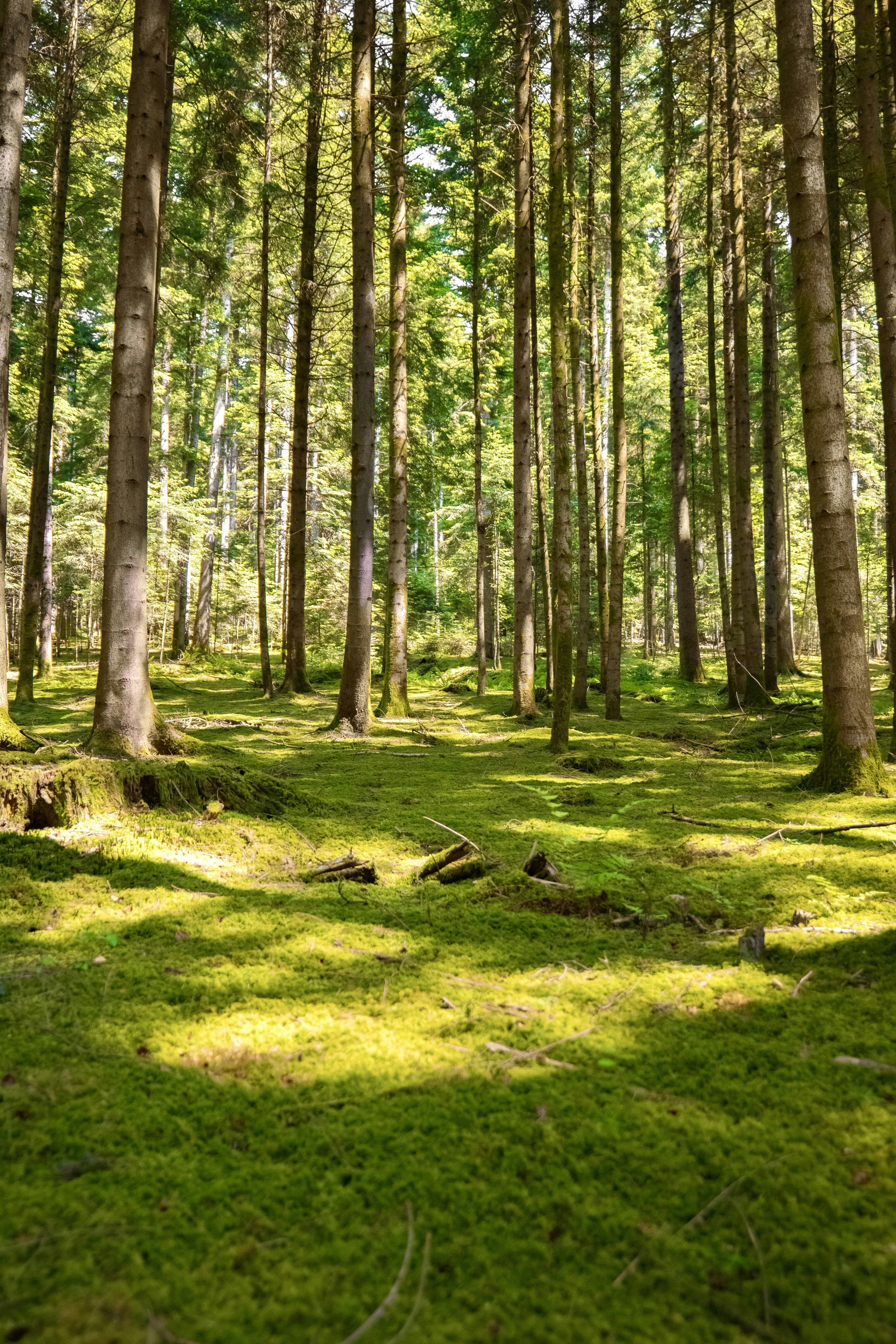 Photo by markusmckay