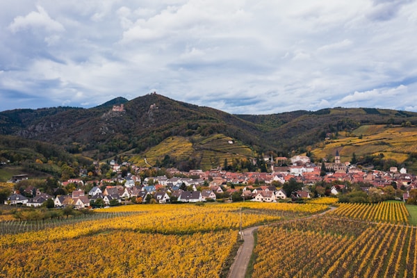 Barolo Piedmont vineyard landscape