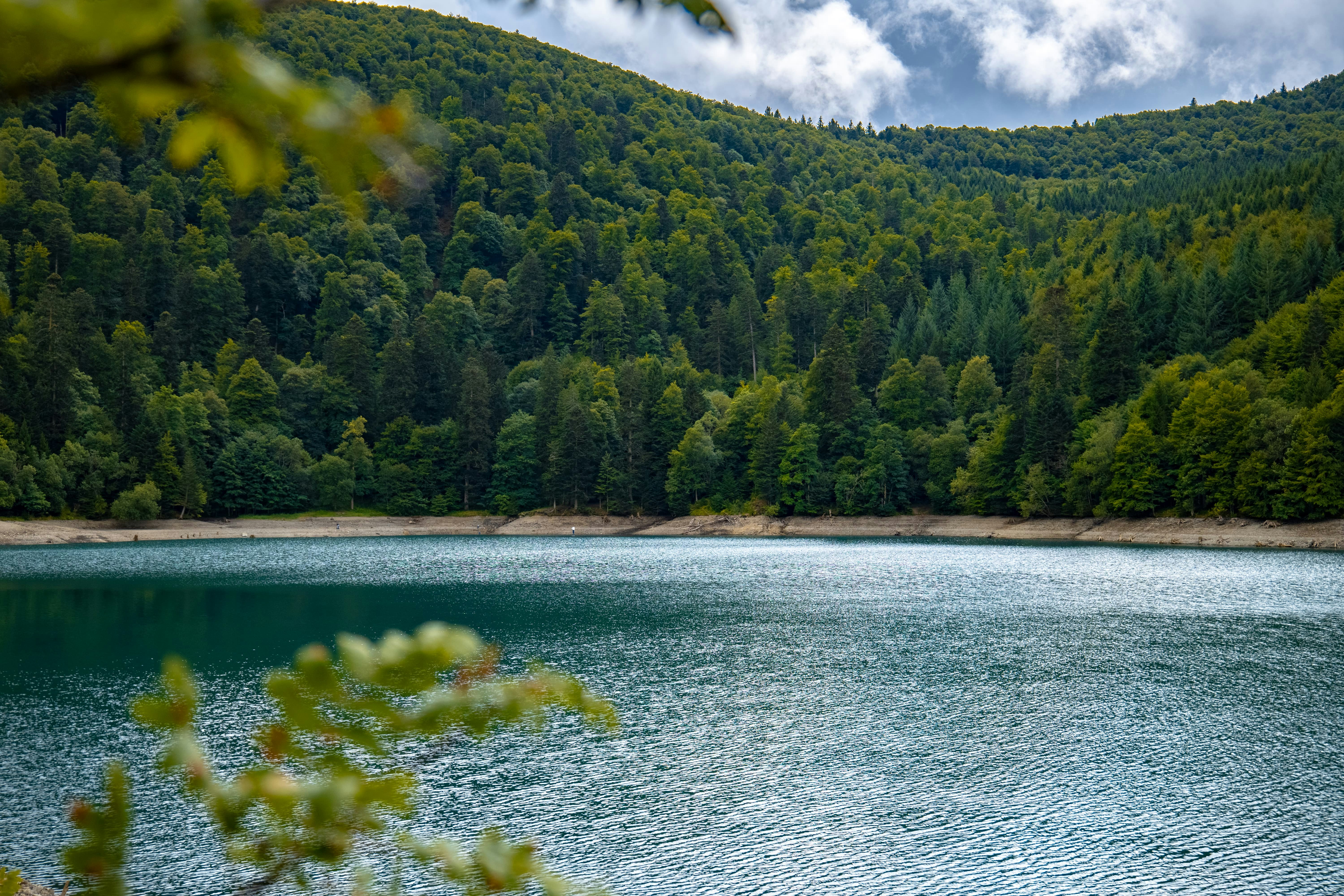 Photo by markusmckay