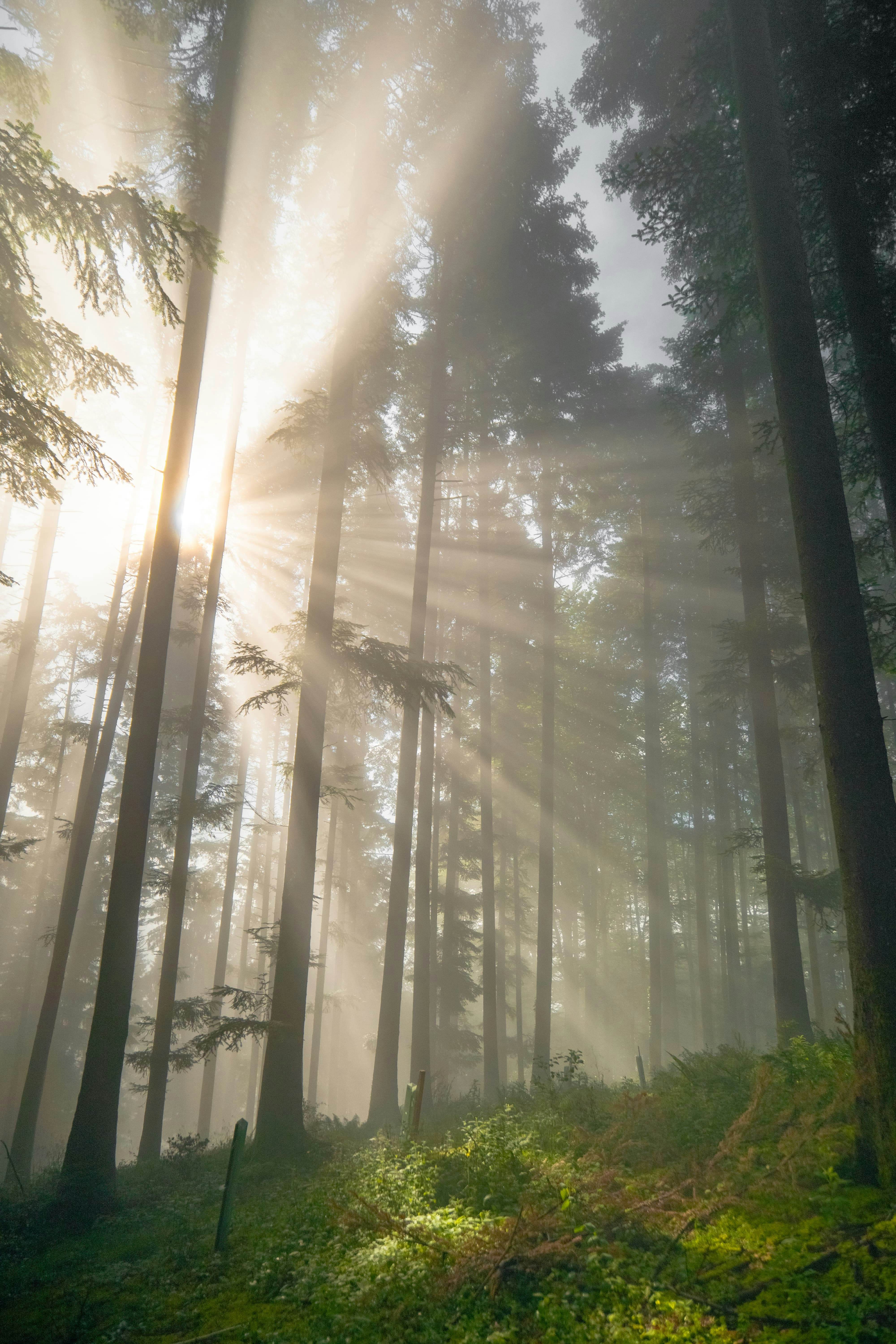 Photo by markusmckay