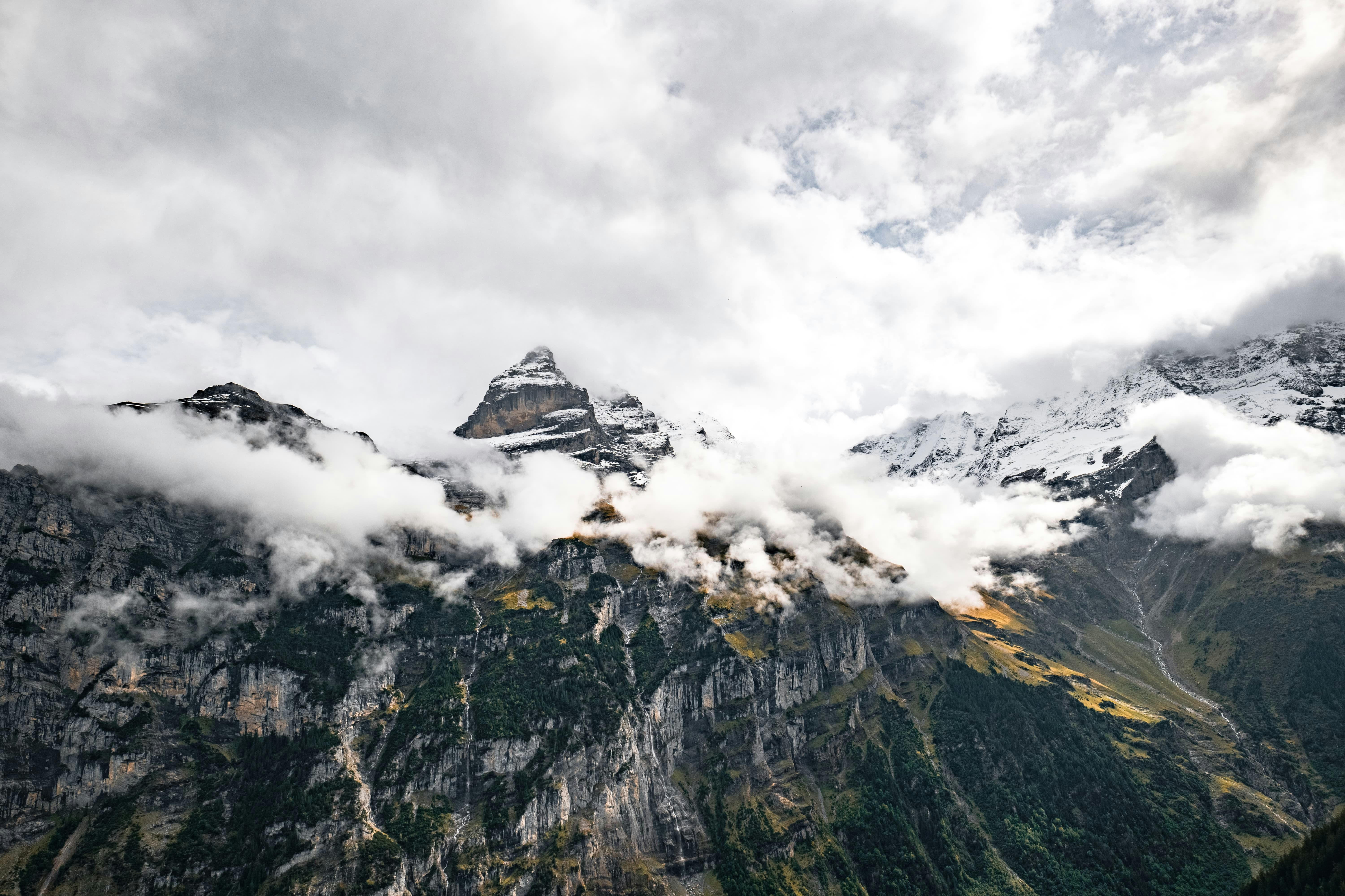 Photo by markusmckay