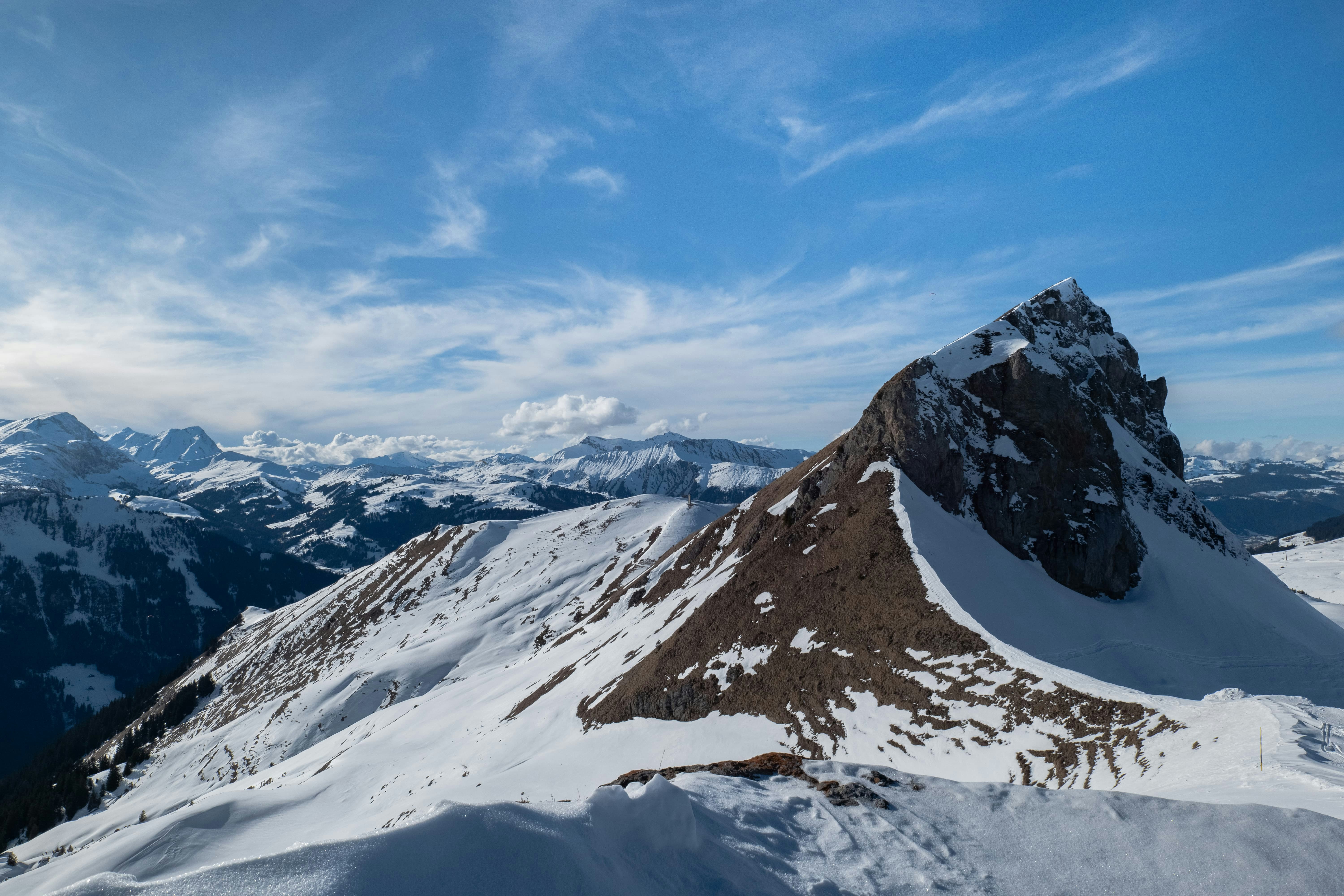 Photo by markusmckay