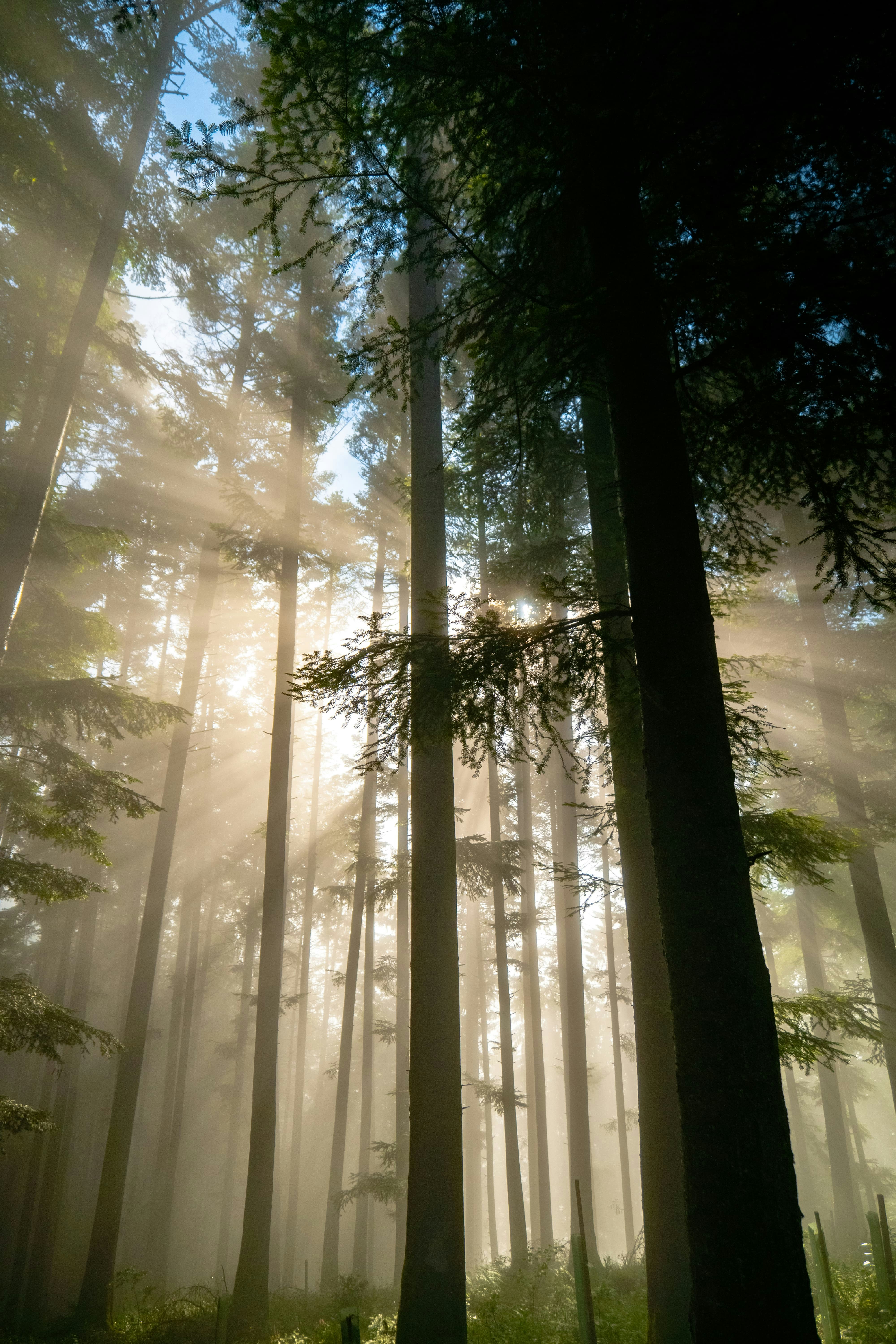 Photo by markusmckay