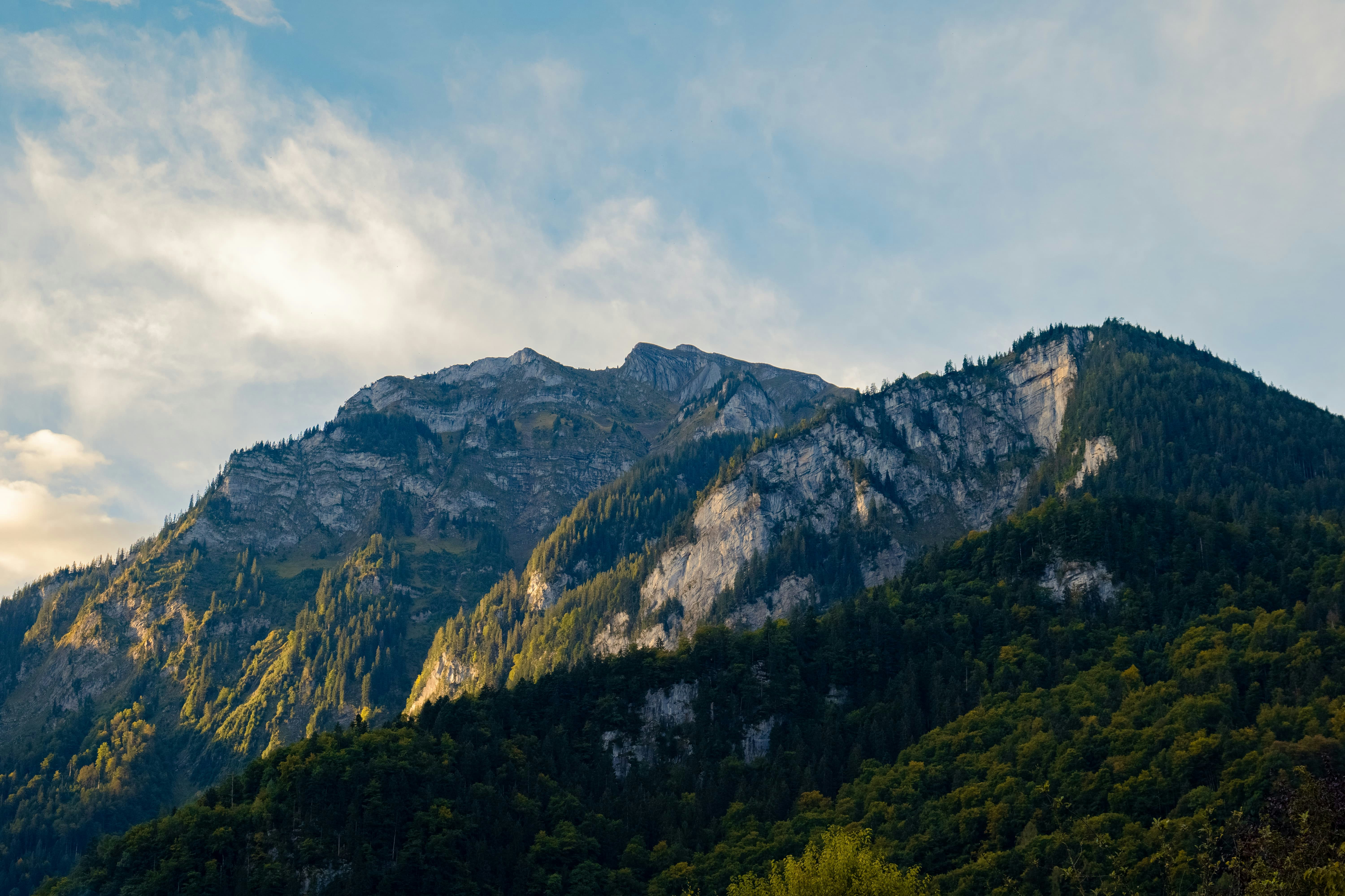 Photo by markusmckay