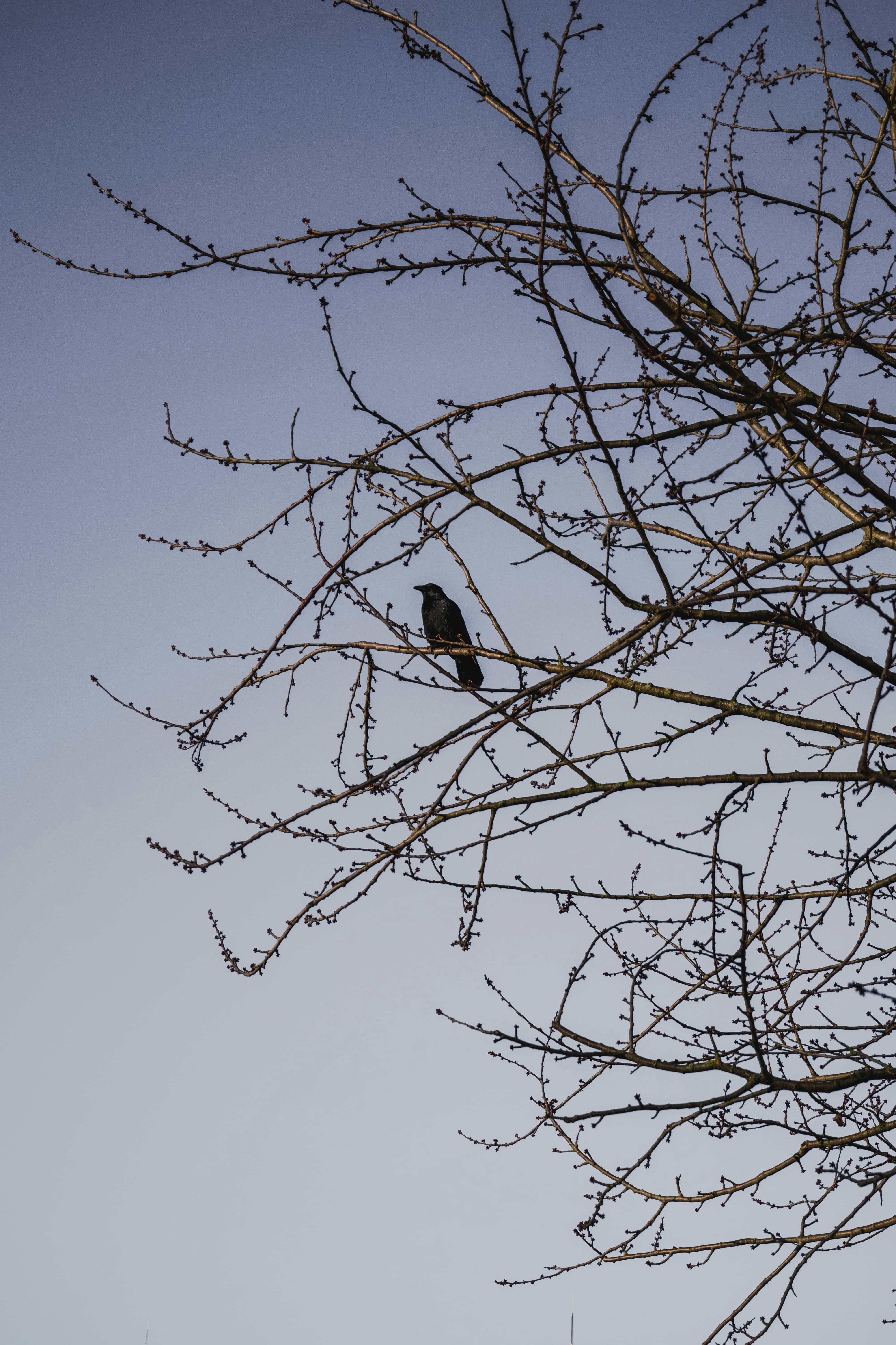 Photo by markusmckay