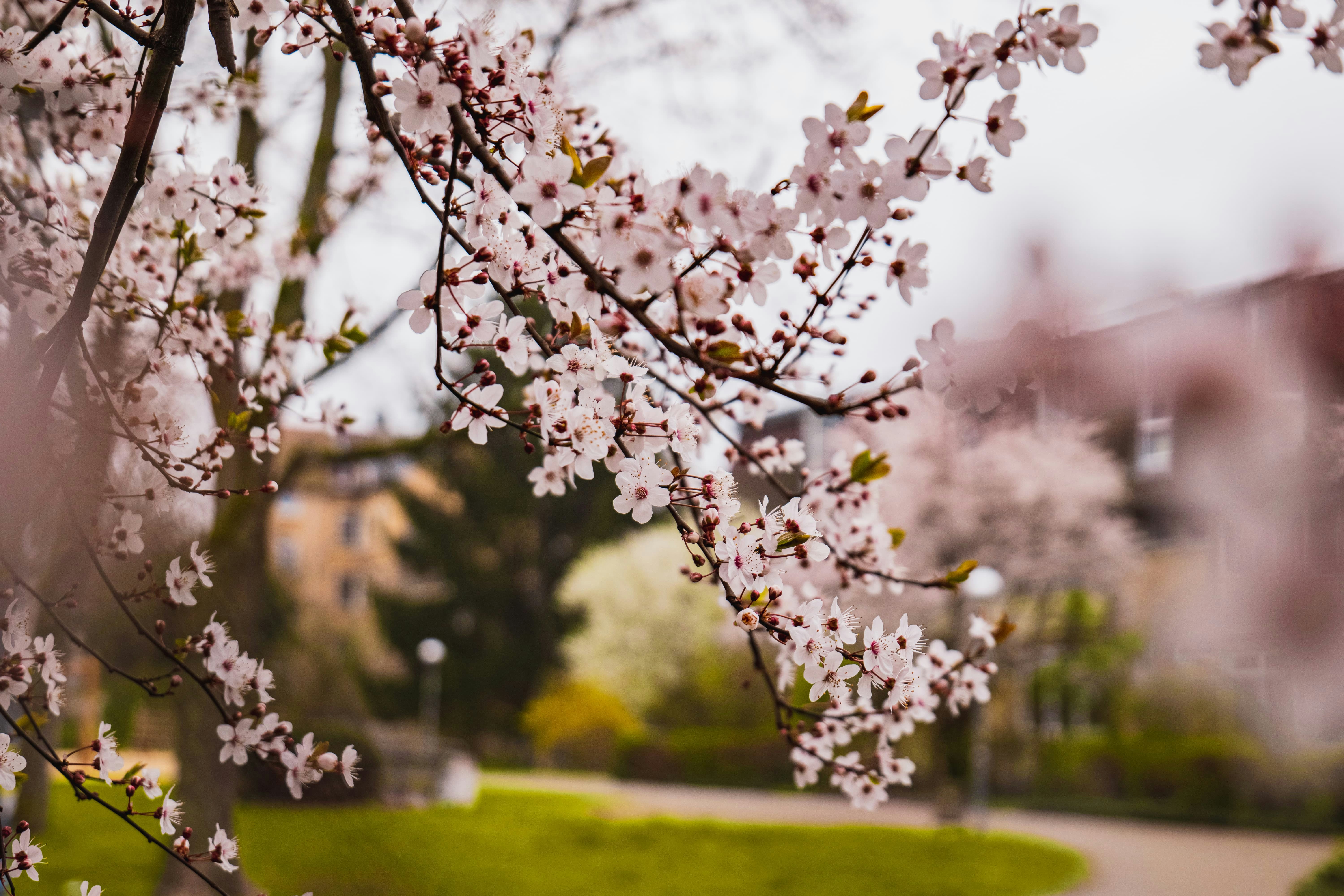 Photo by markusmckay