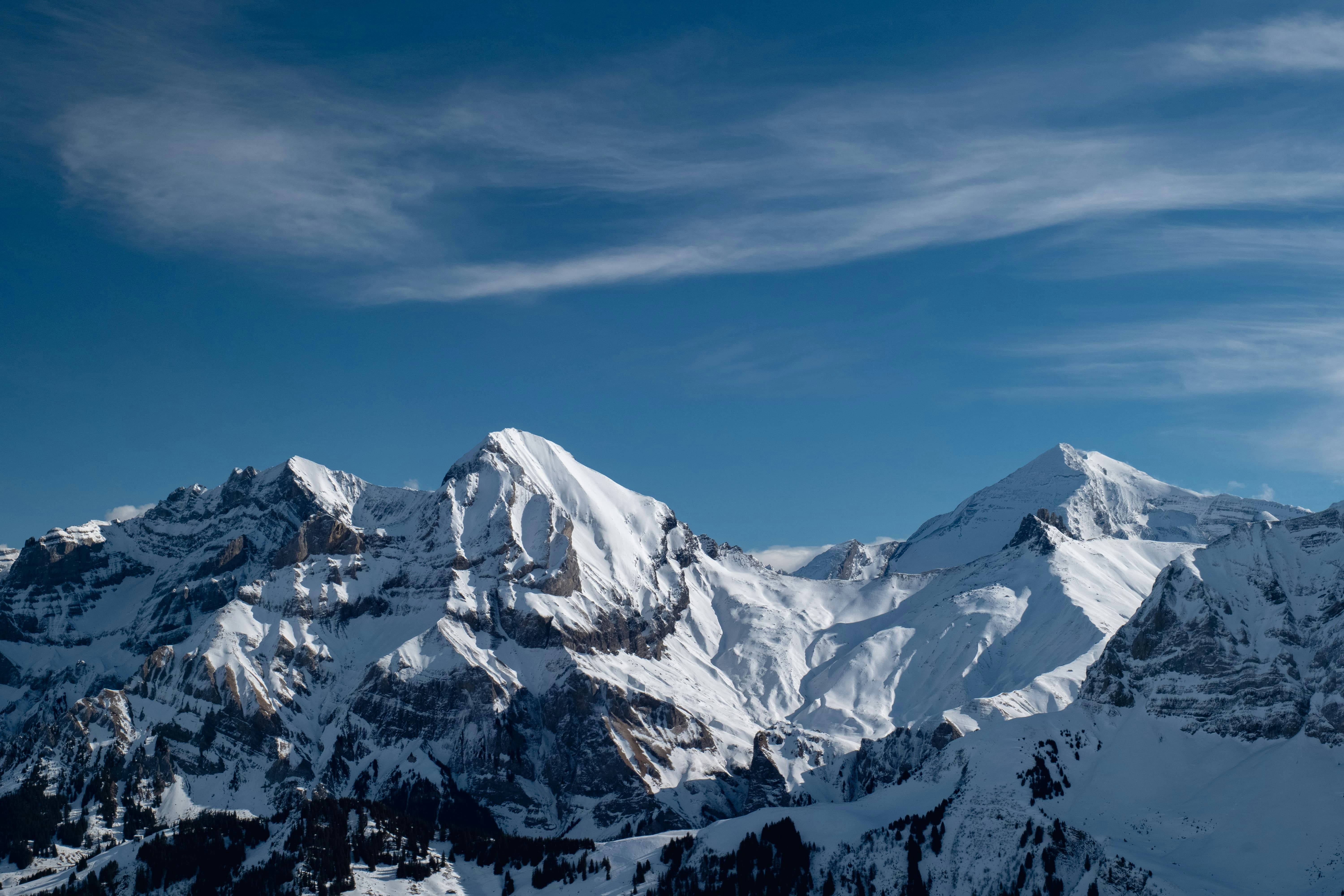 Photo by markusmckay