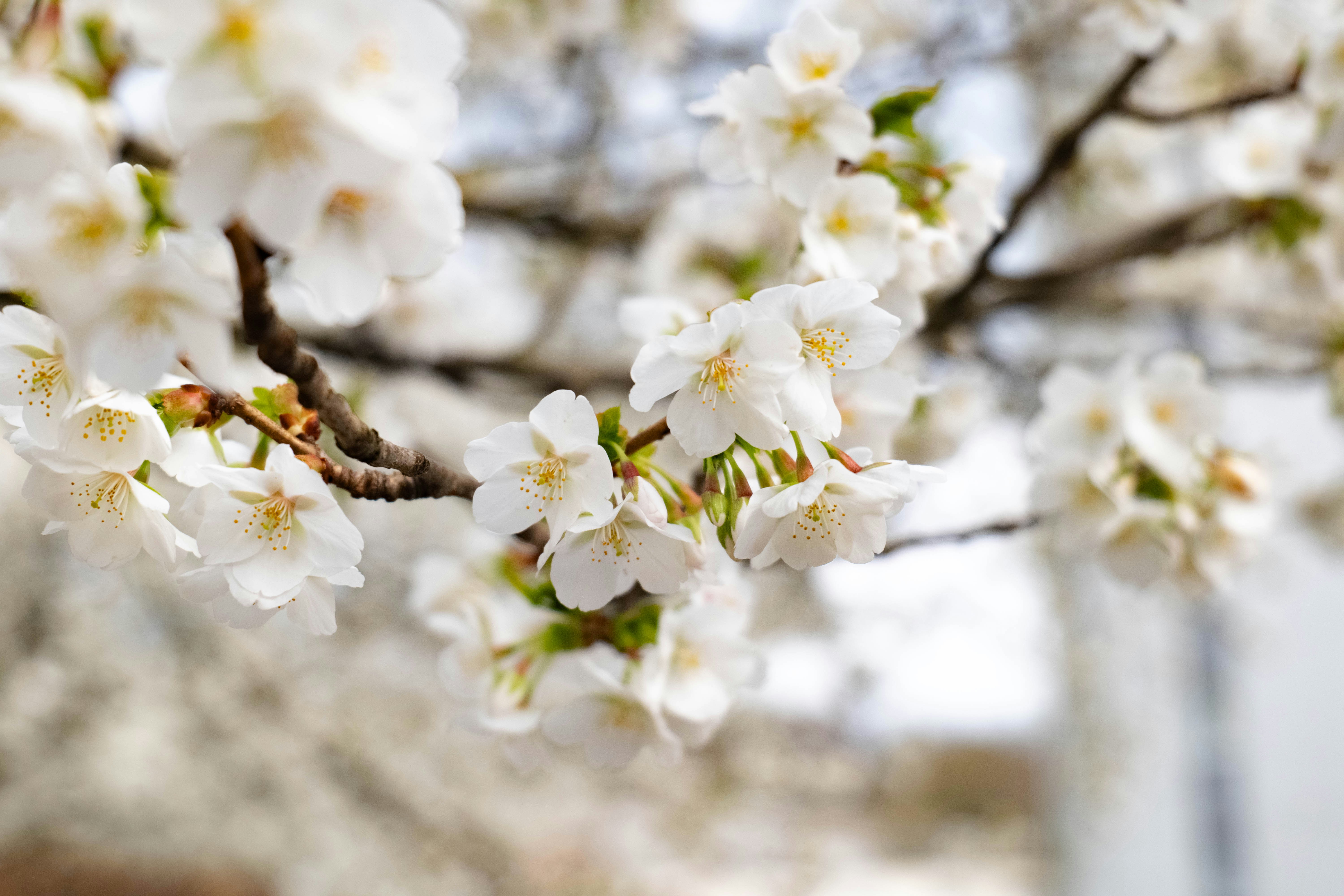 Photo by markusmckay