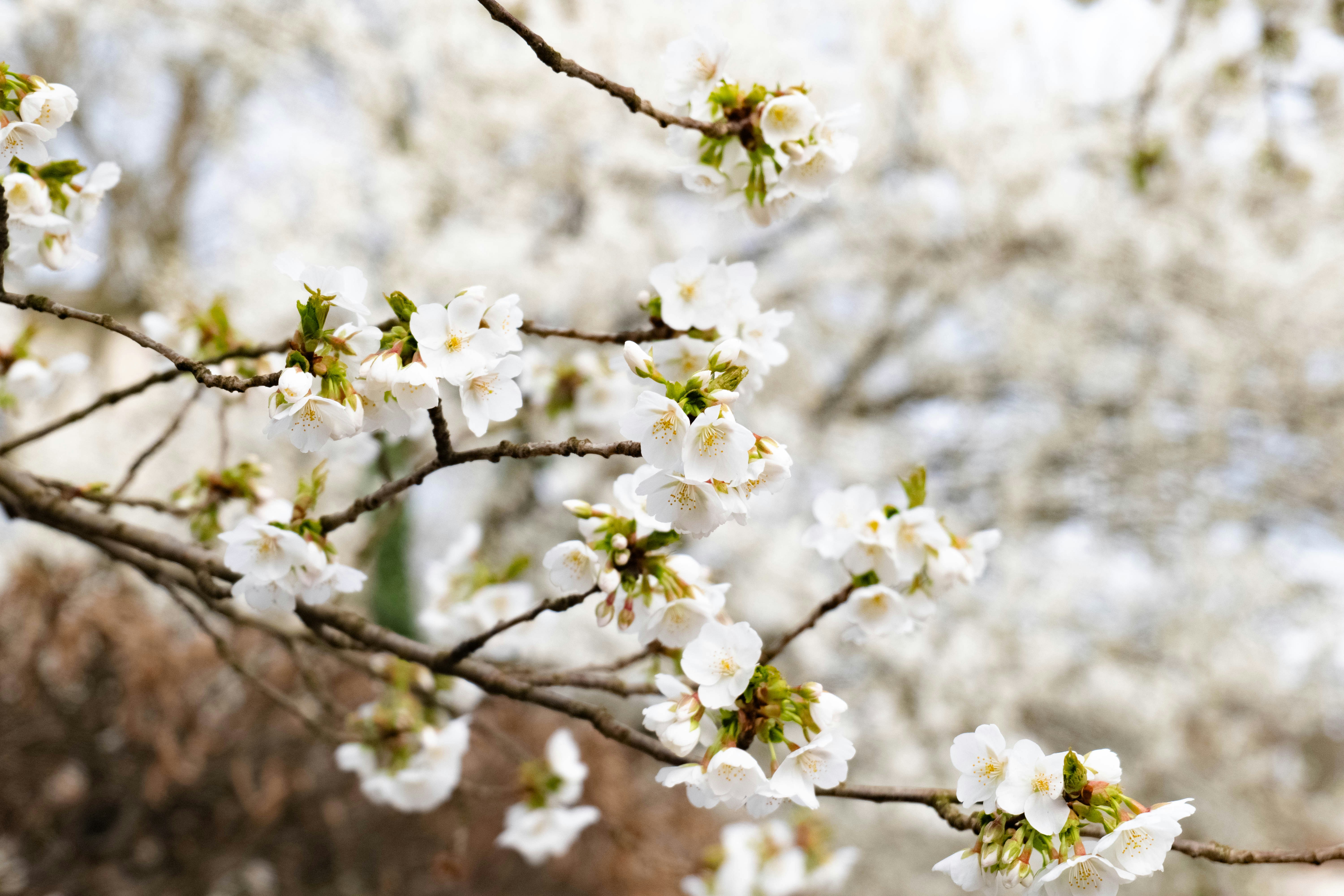 Photo by markusmckay