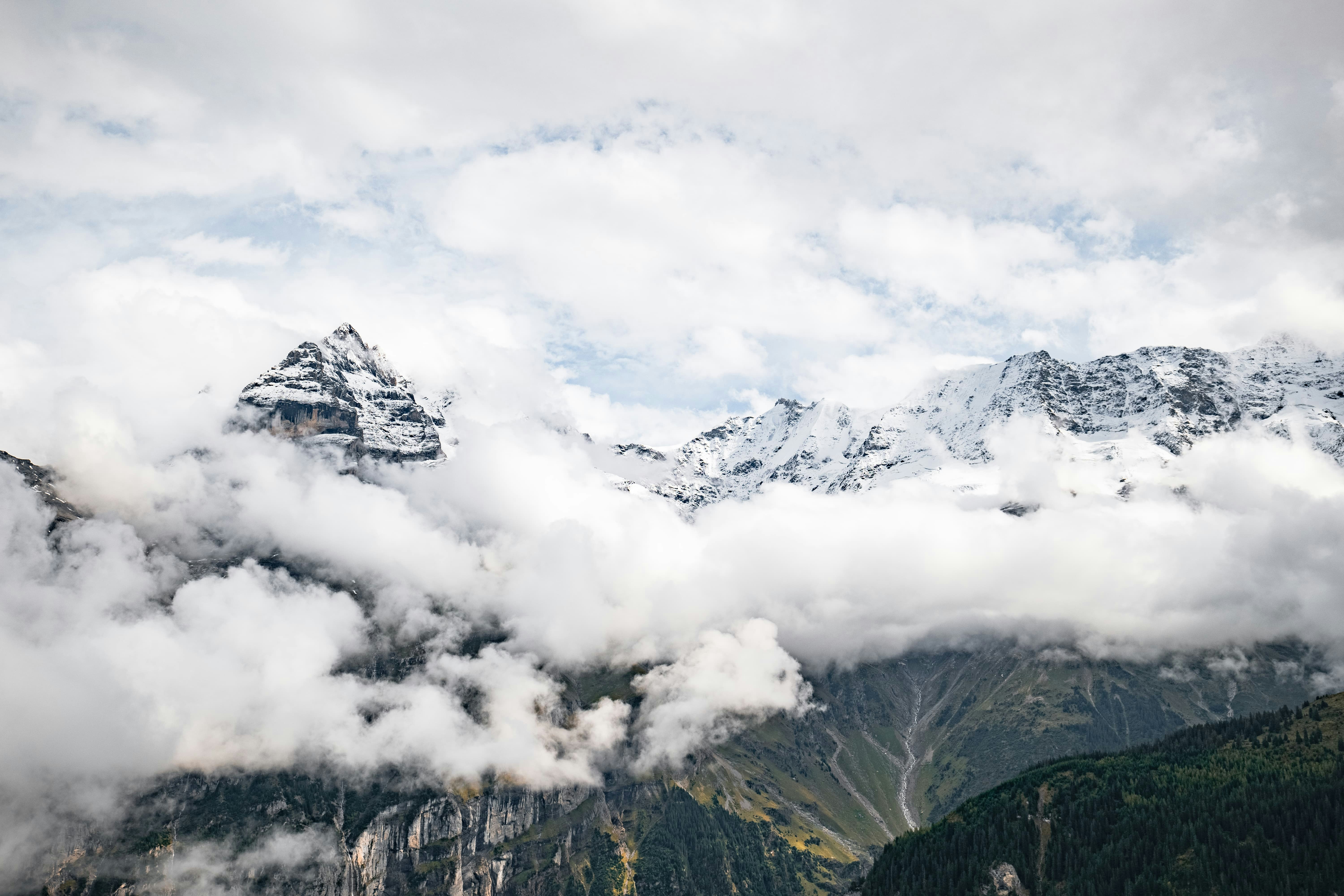 Photo by markusmckay