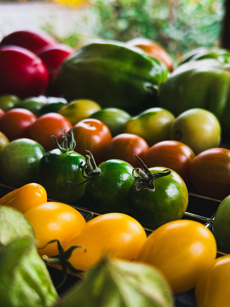 How to Start a CSA Farm Box in 2026: Step-by-Step Guide (With Pricing)