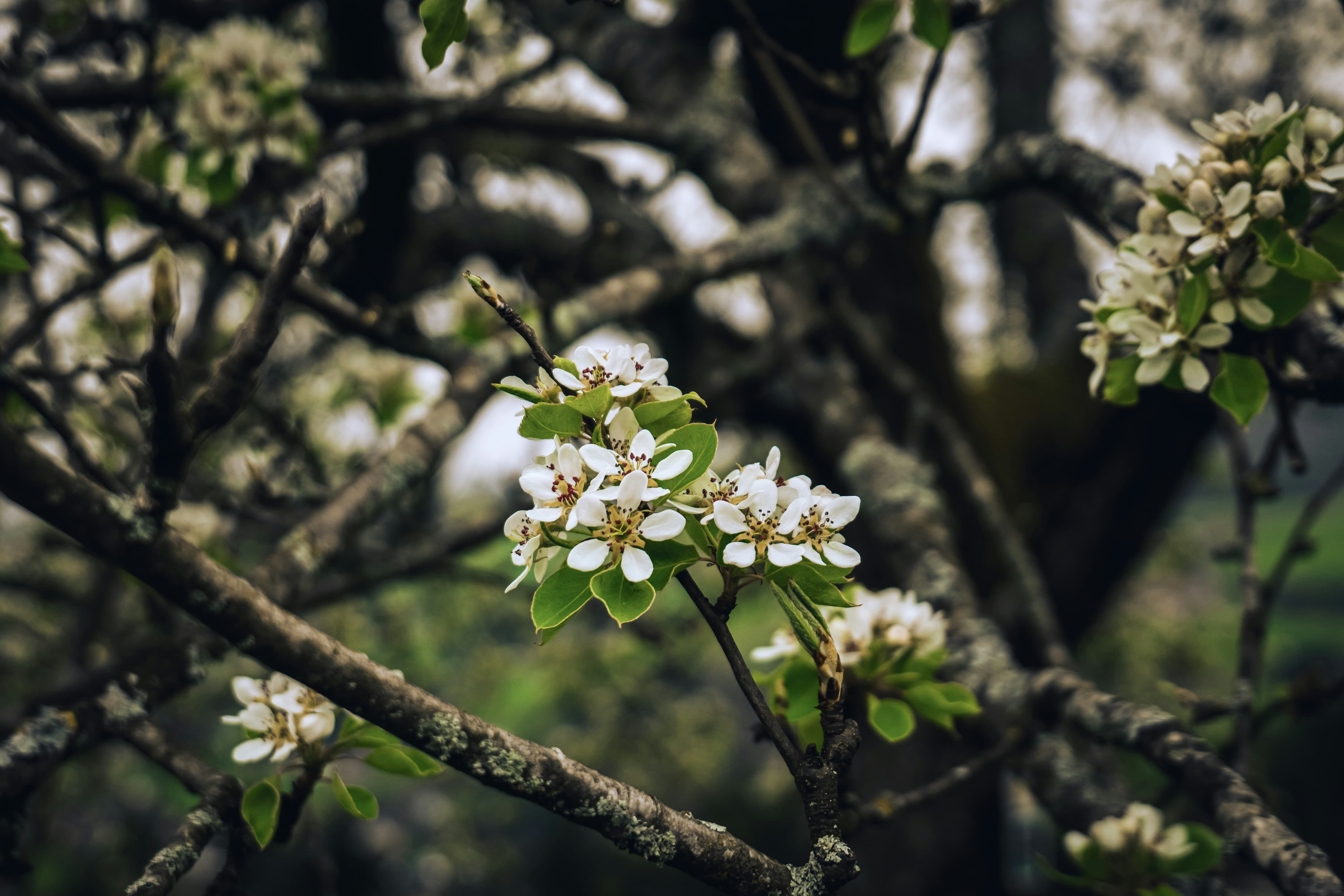 Photo by markusmckay