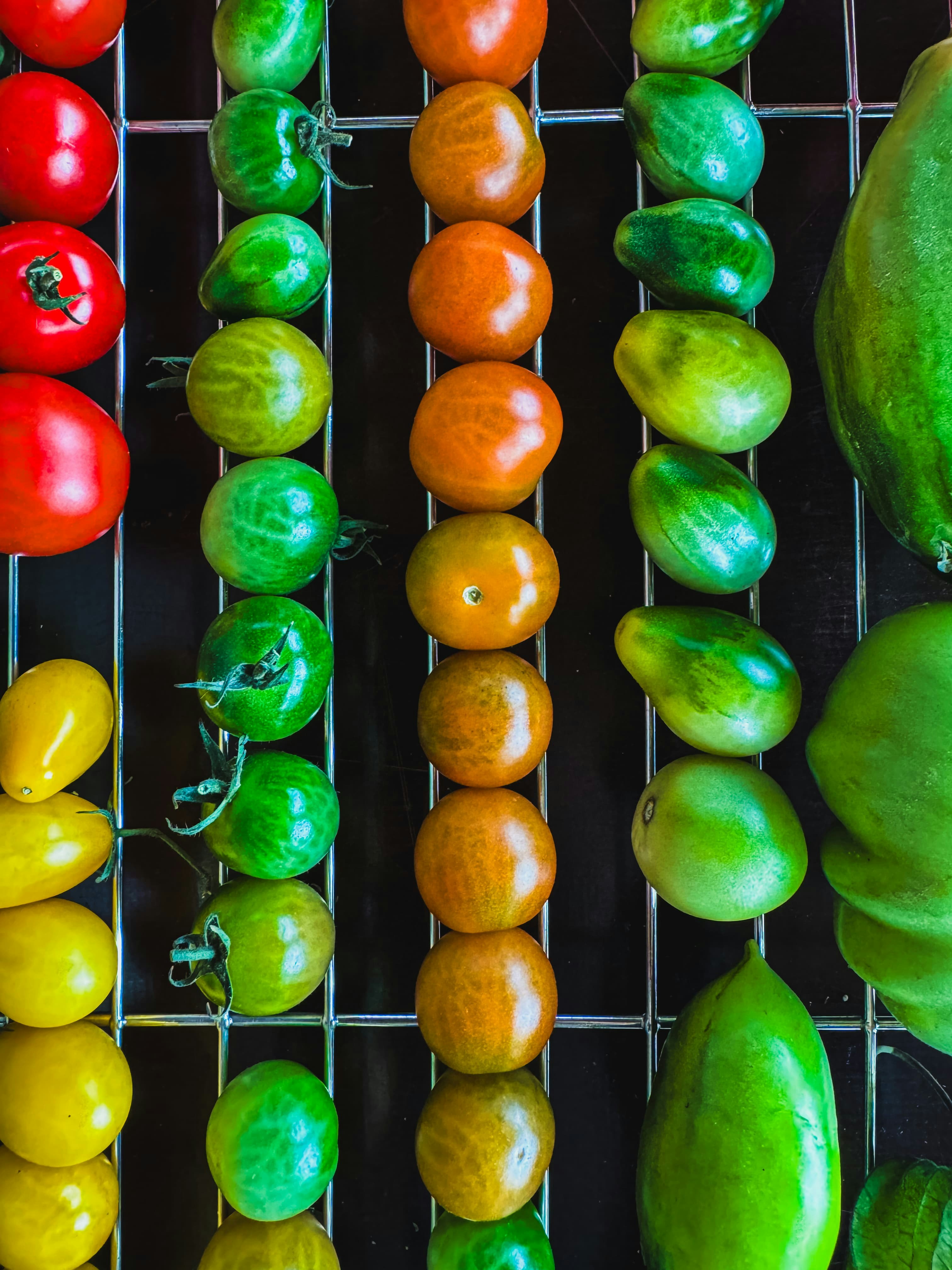 Rows of colorful tomatoes sorted by color and size.