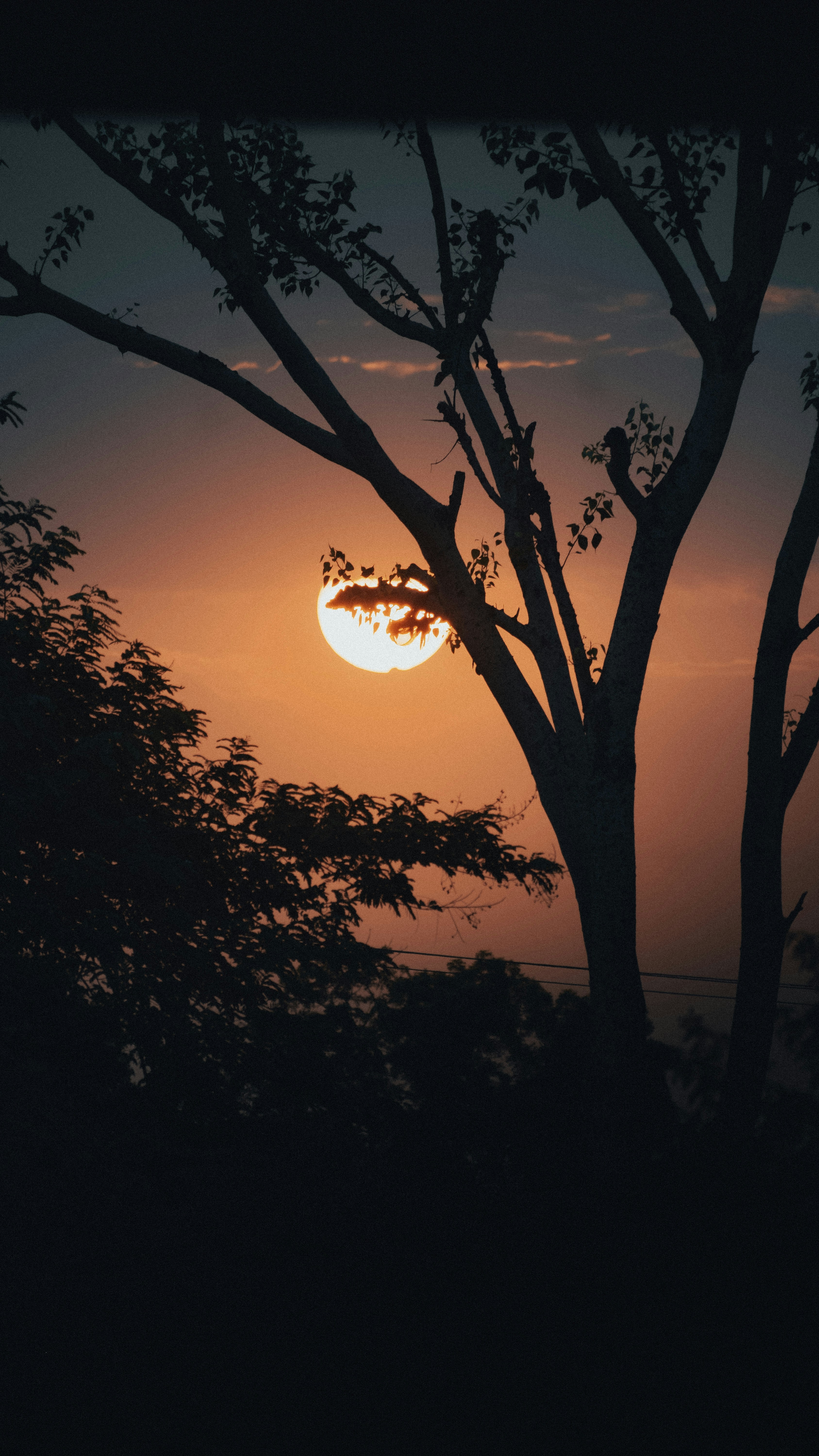 Photo by pixelbyzaki