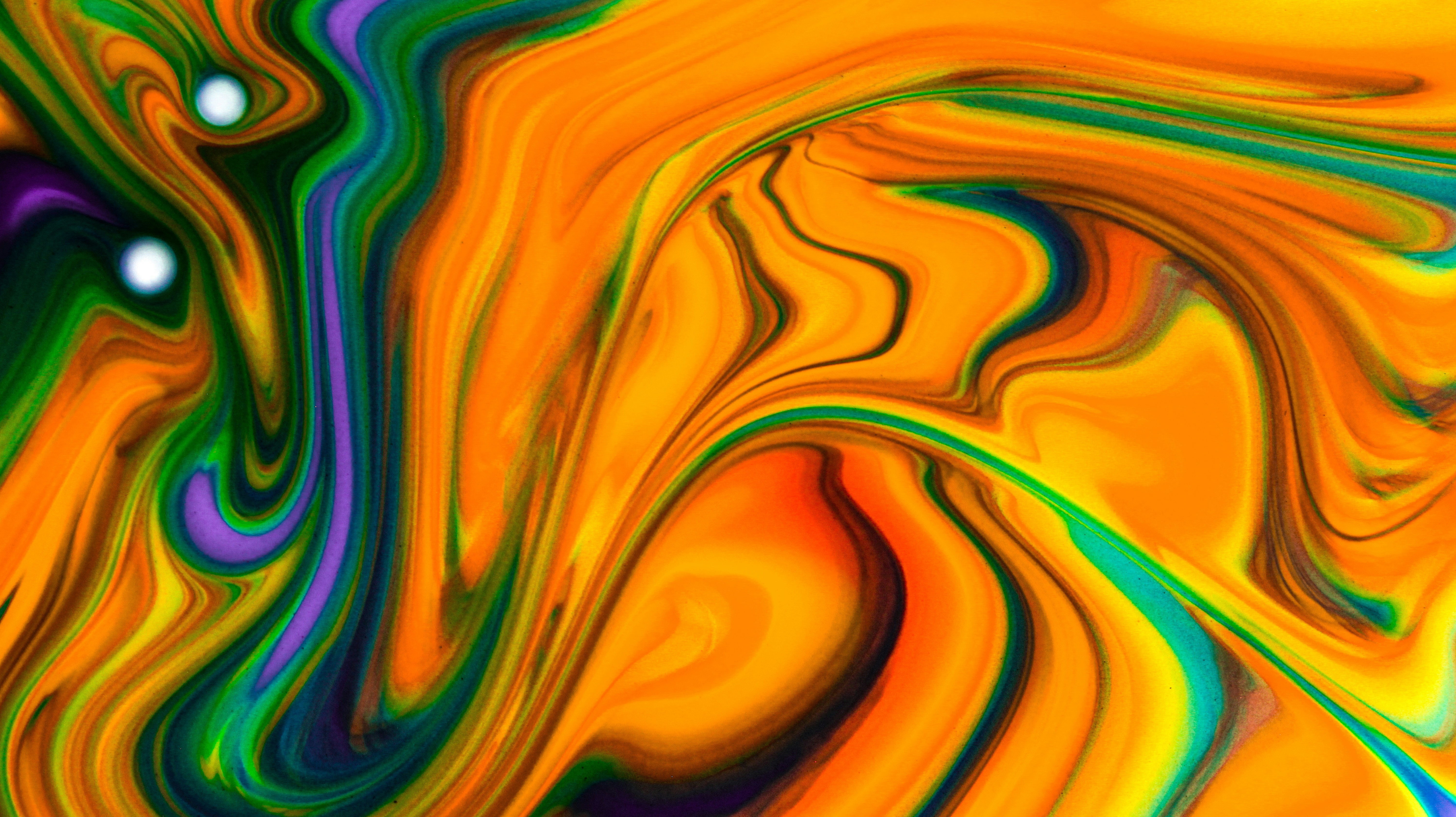 Photo by susan_wilkinson