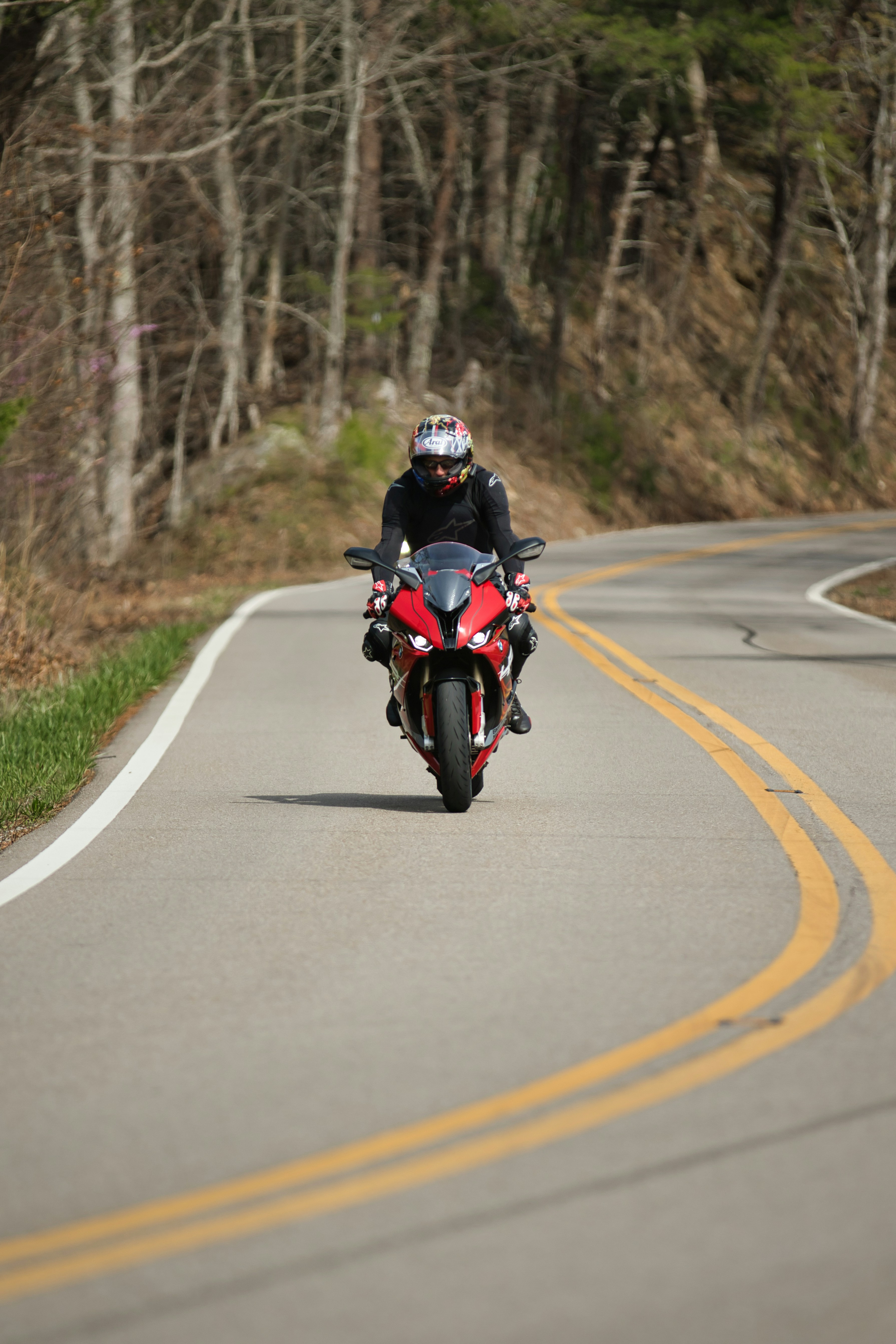Motorradfahrer fährt auf einer kurvigen Straße durch Bäume