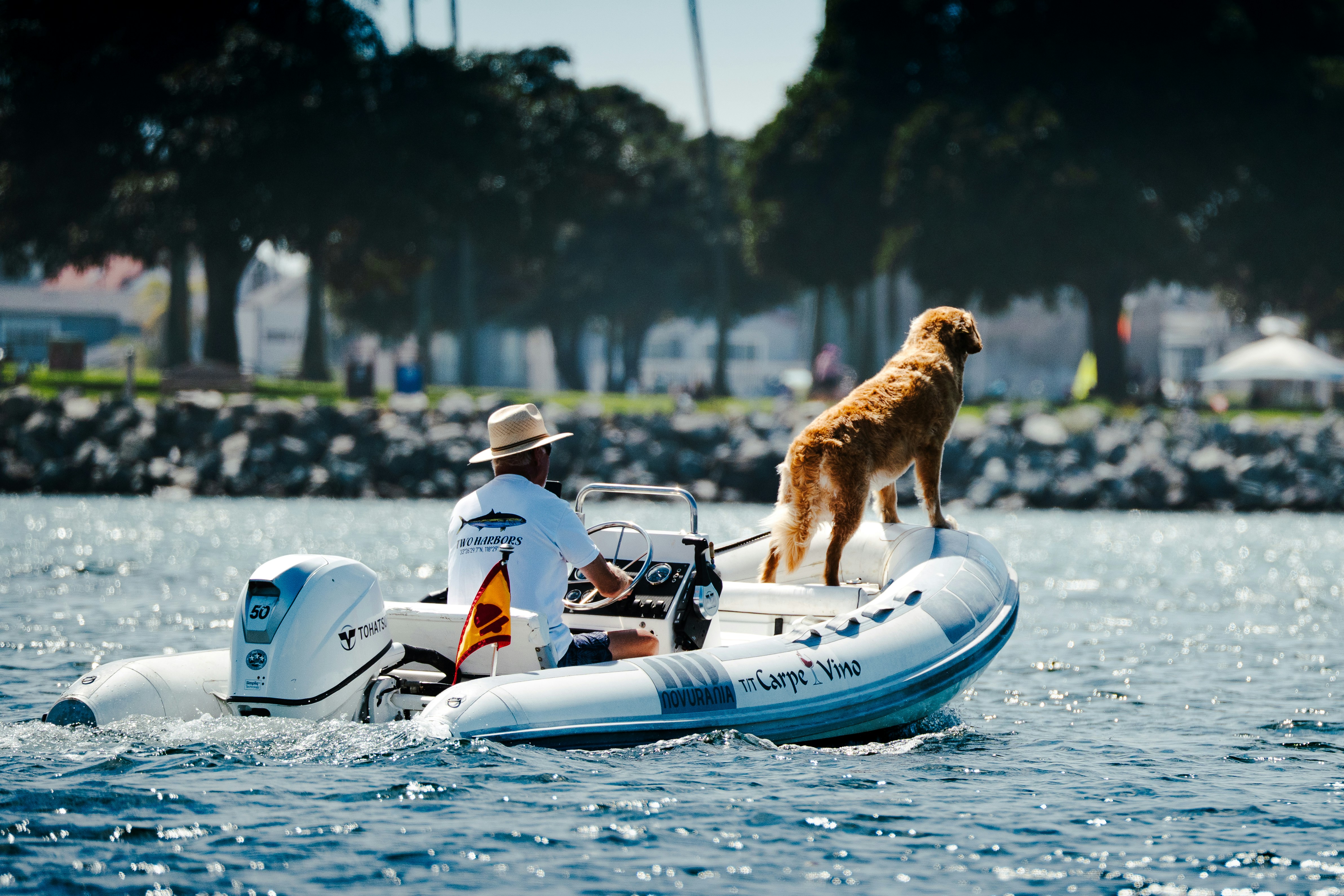 Un perro está en un barco con una persona conduciendo
