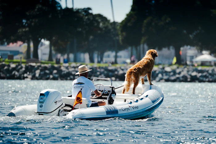 Dog riding along at the helm