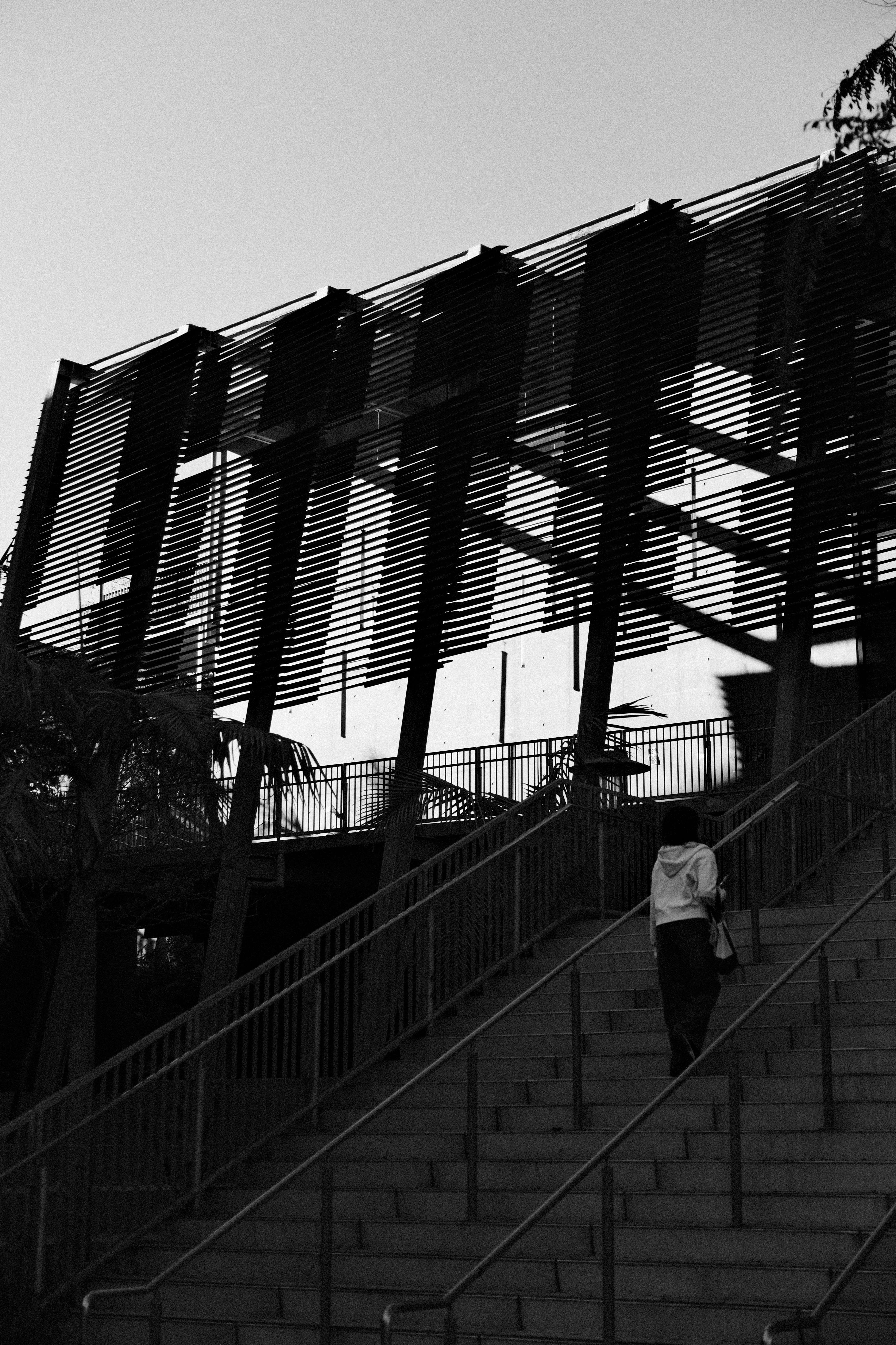 Person ascends a staircase towards modern architecture.